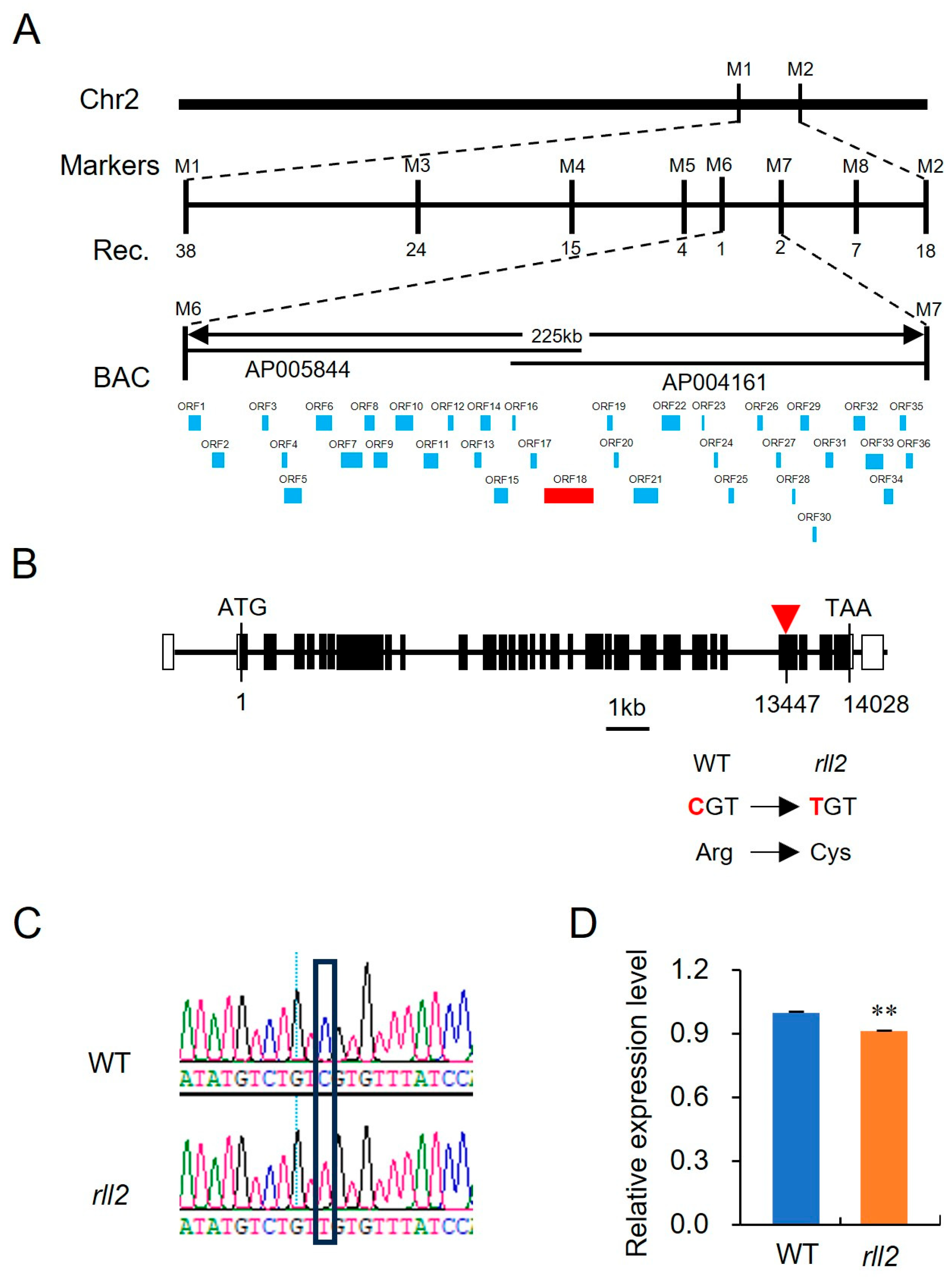 Plants 14 03373 g003