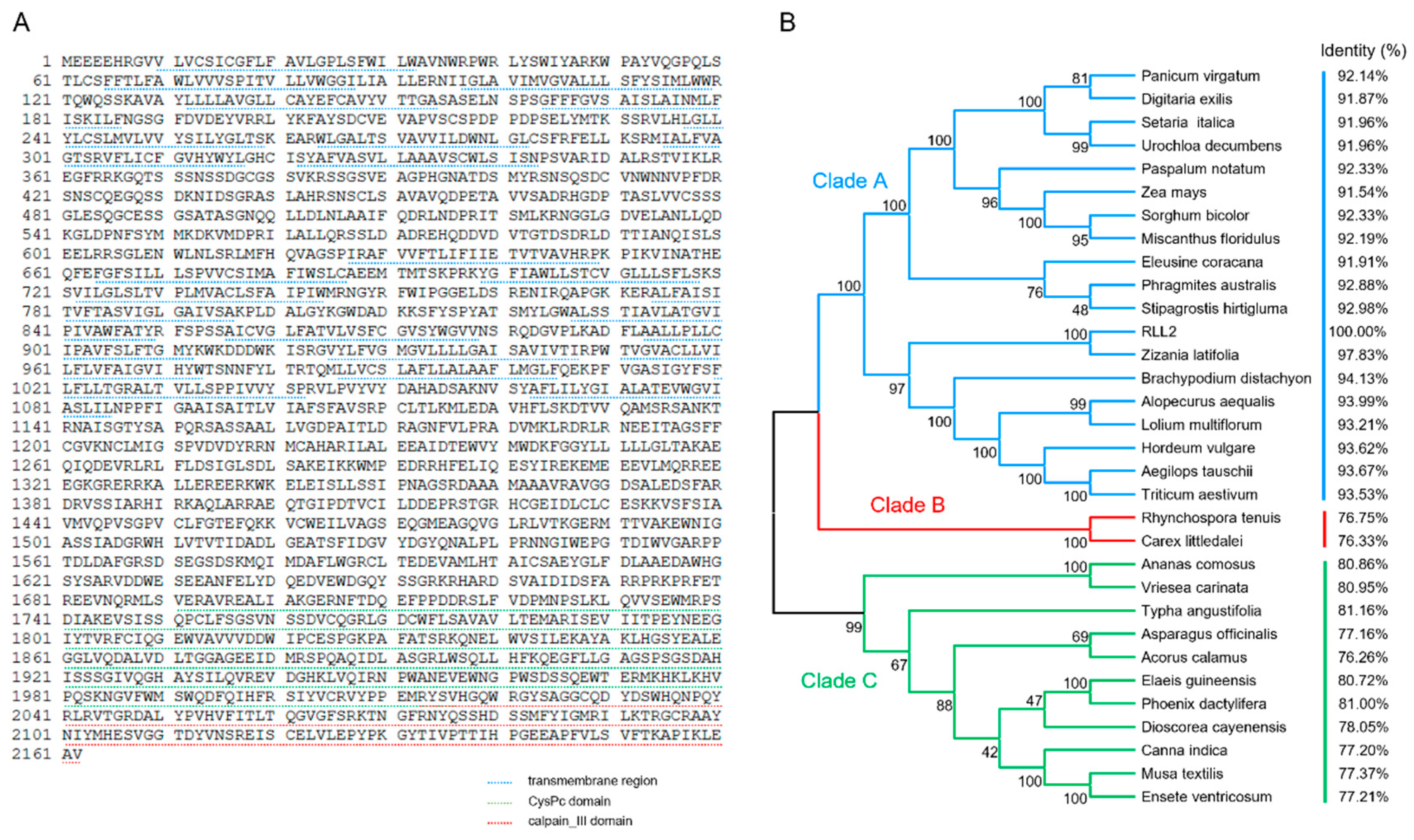 Plants 14 03373 g004