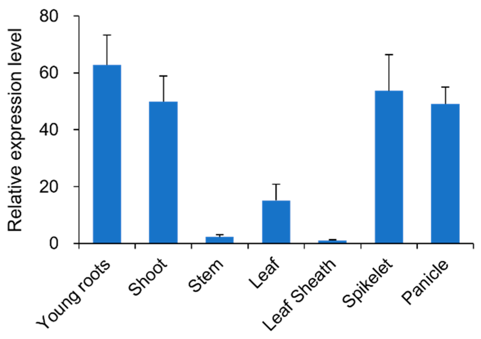 Plants 14 03373 g005