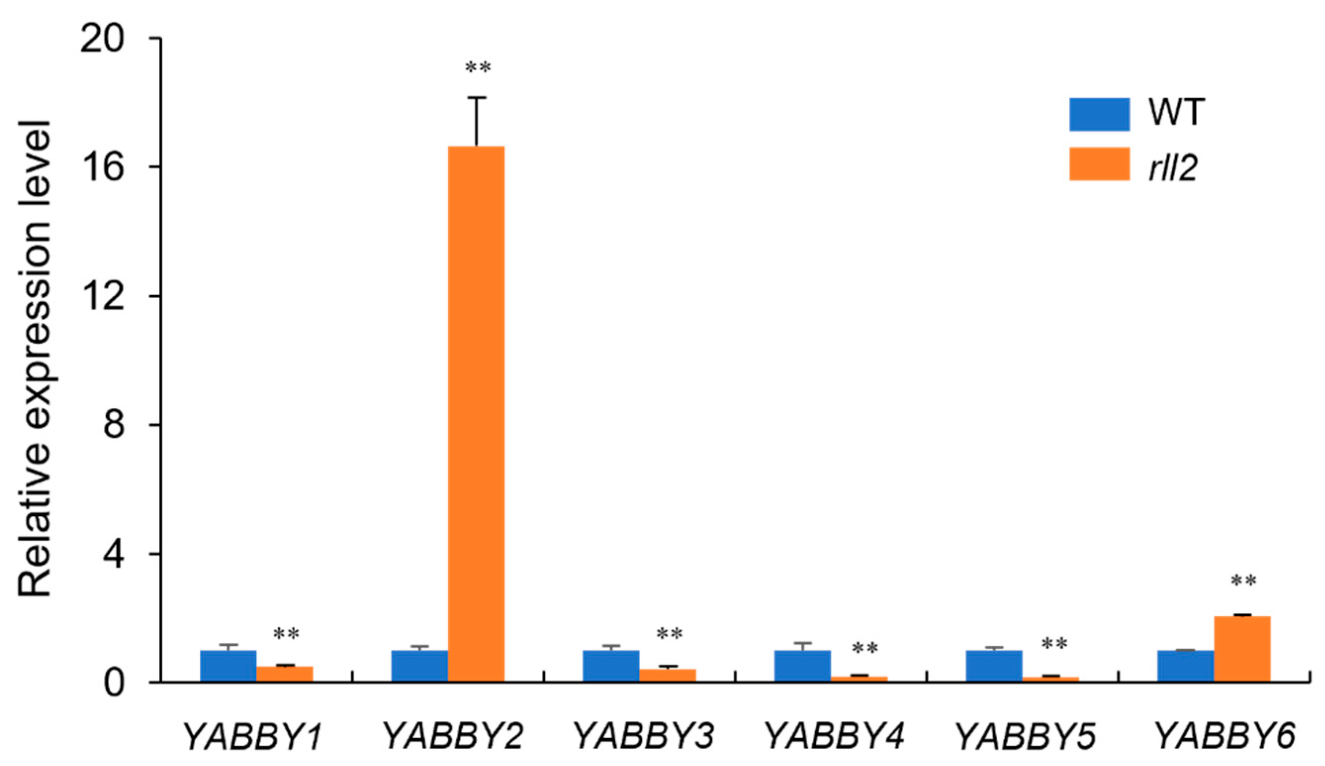 Plants 14 03373 g007