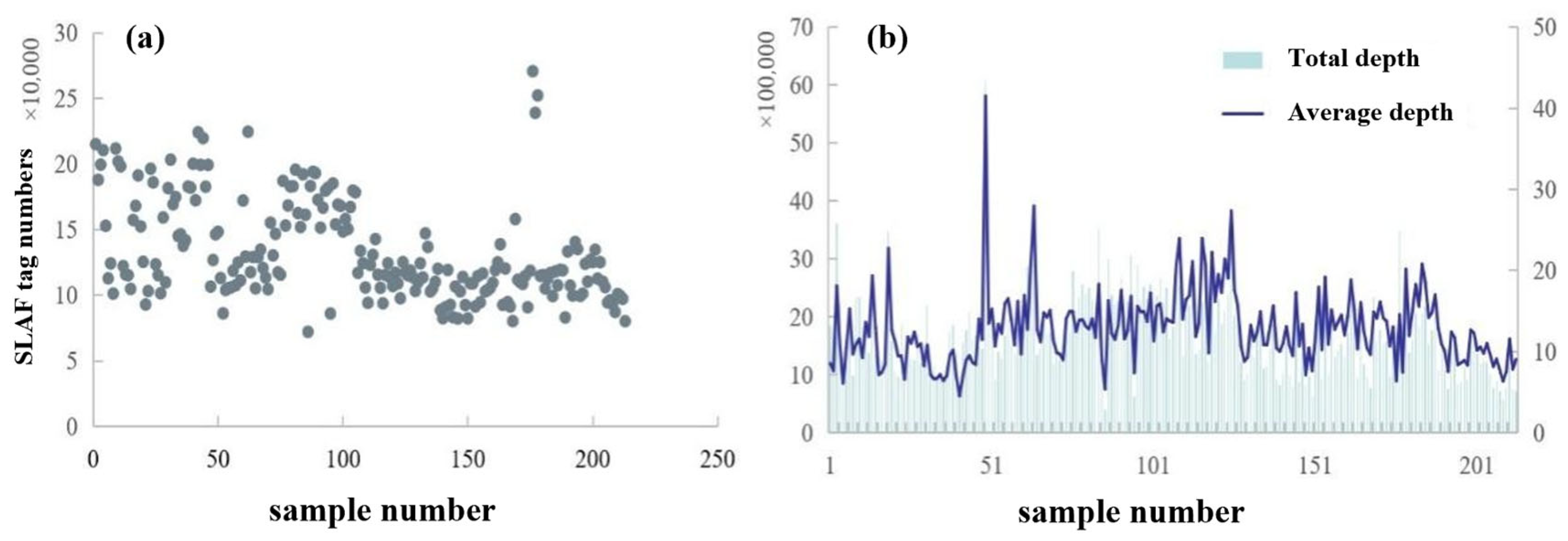 Plants 14 03374 g006 Plants 14 03374 g006