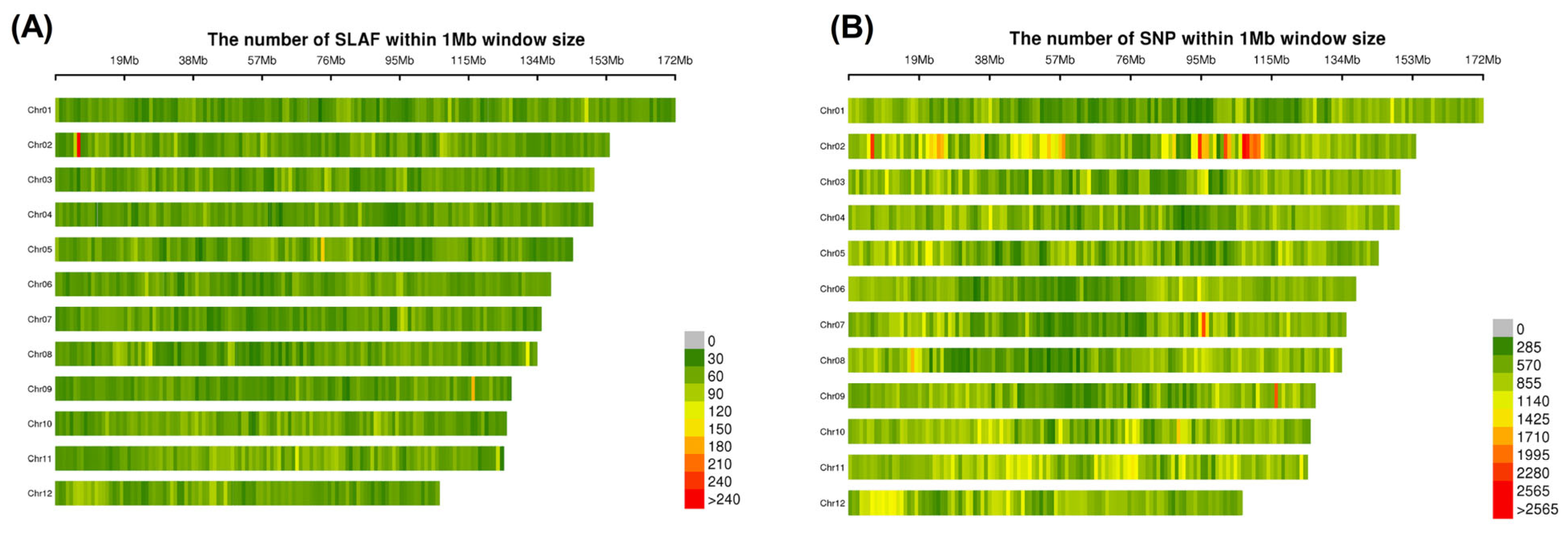Plants 14 03374 g007 Plants 14 03374 g007