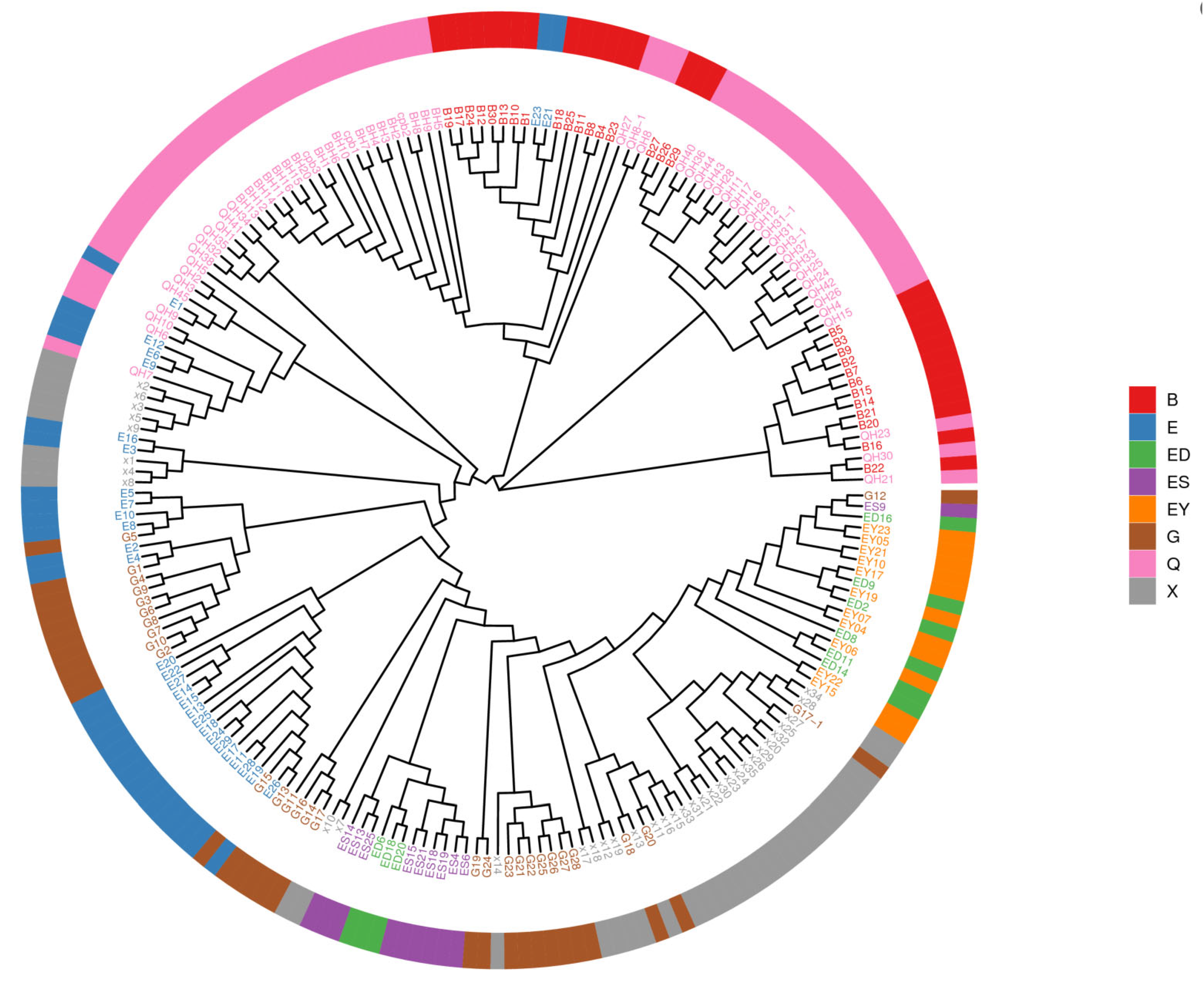 Plants 14 03374 g008 Plants 14 03374 g008