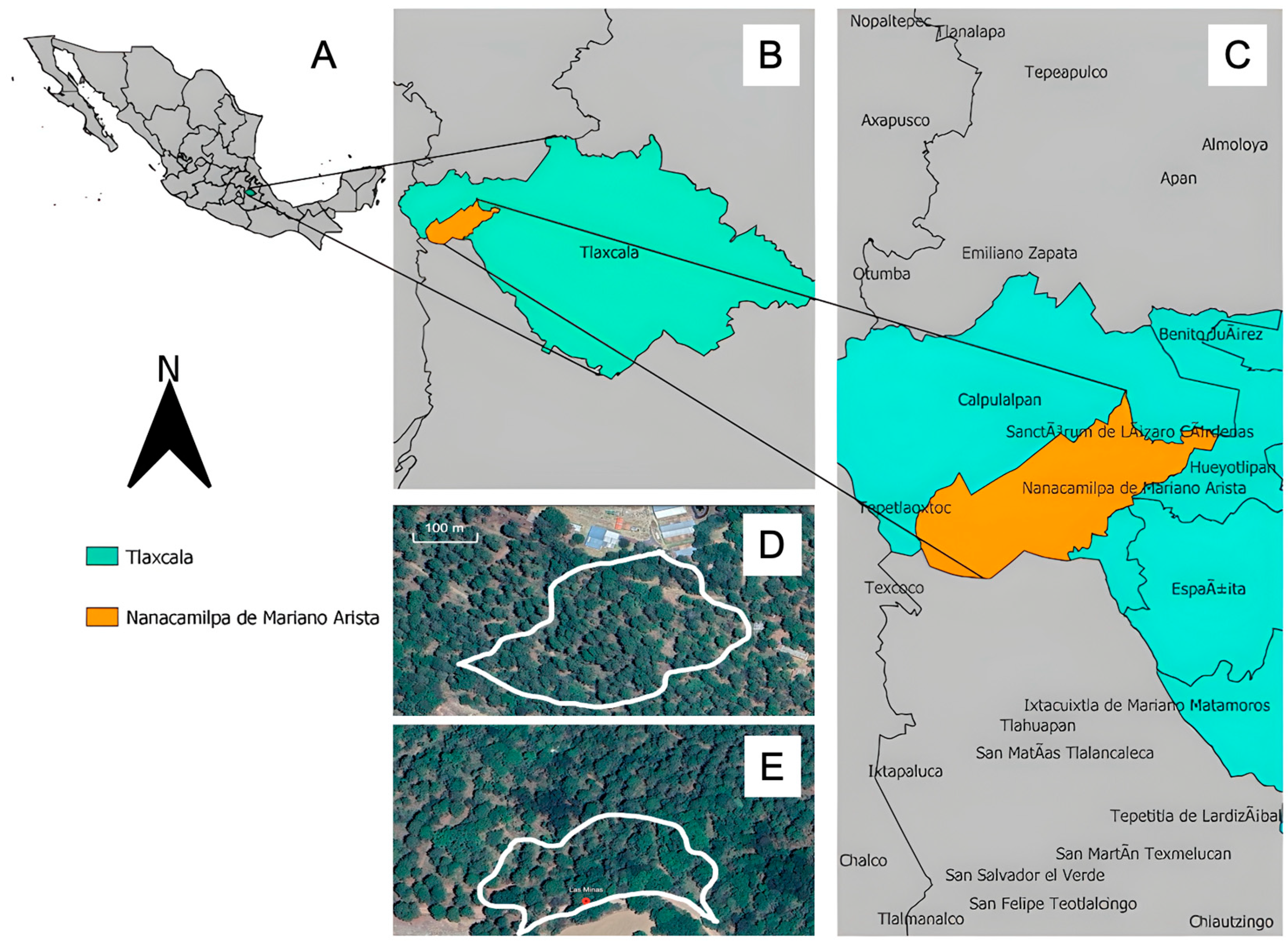 Plants 14 03377 g007
