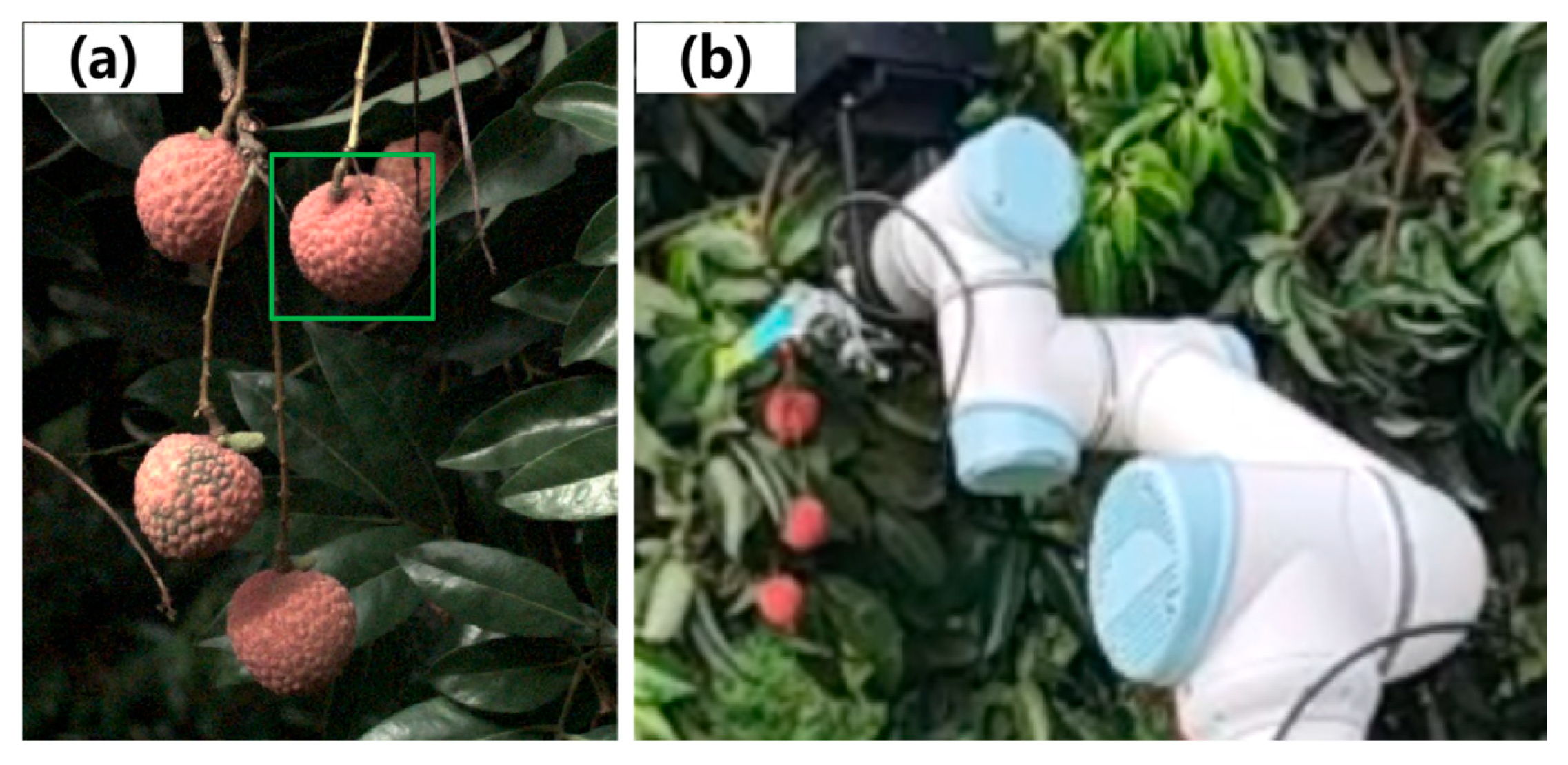 Plants 14 03378 g001 Plants 14 03378 g001