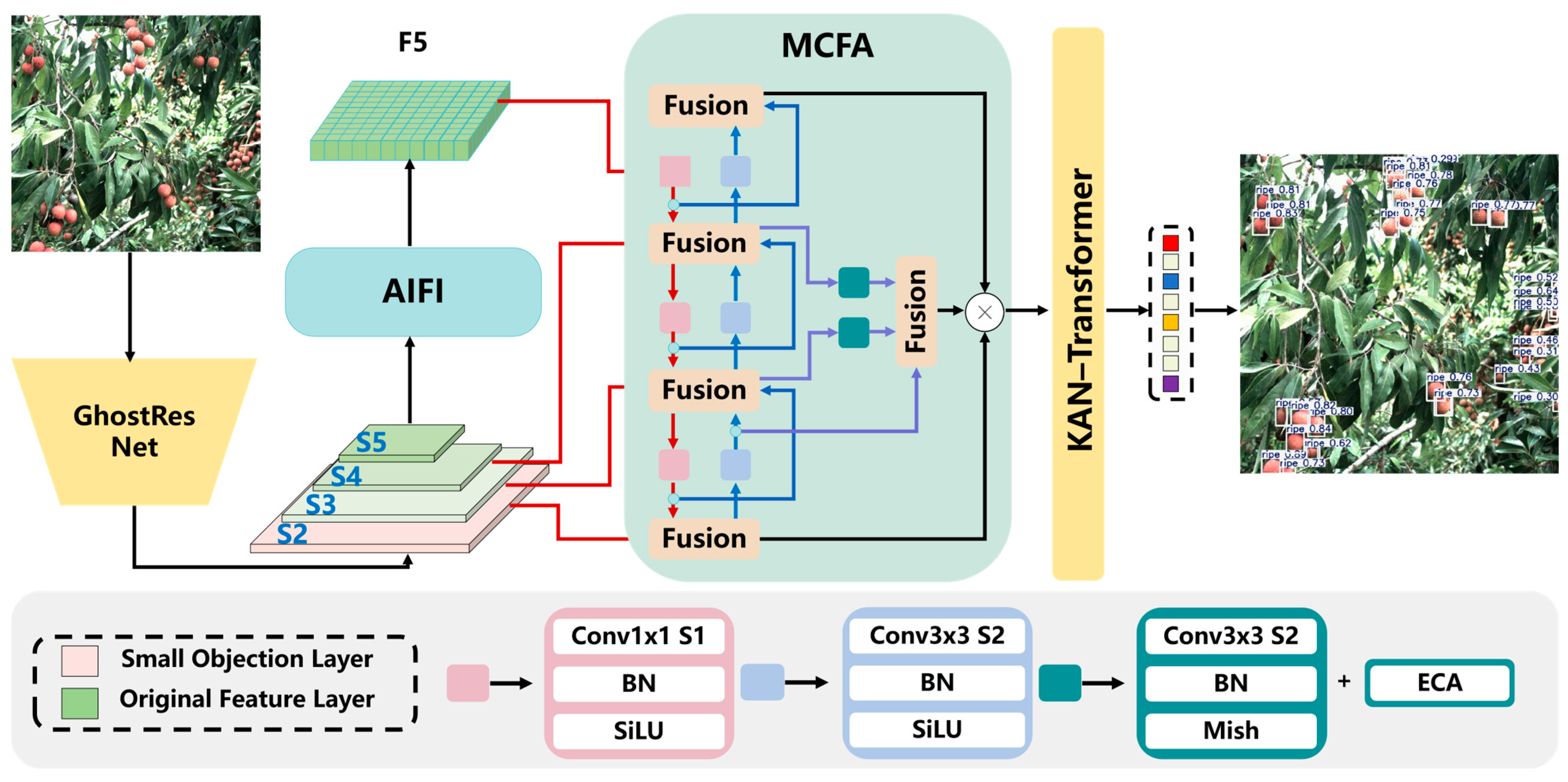 Plants 14 03378 g002 Plants 14 03378 g002