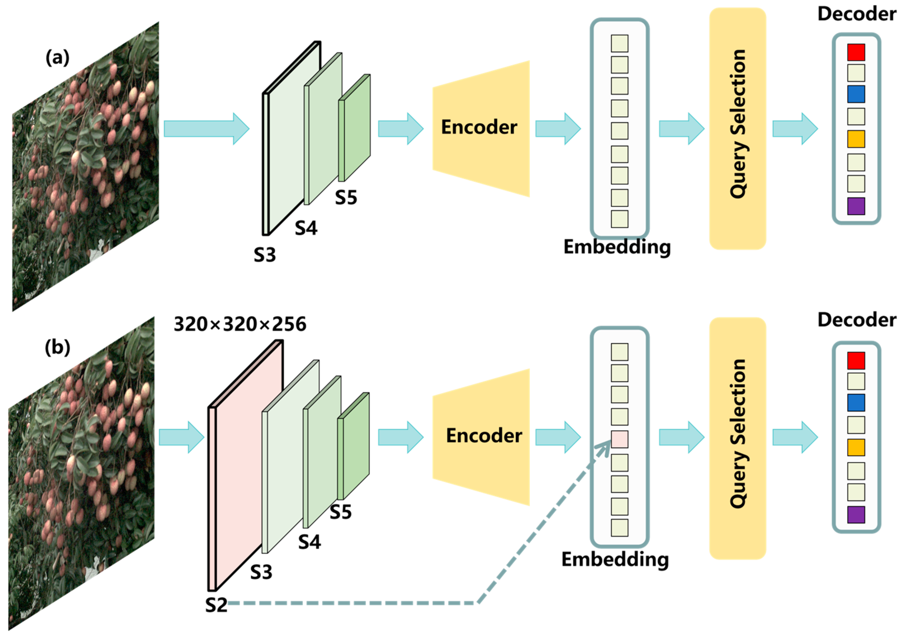 Plants 14 03378 g004 Plants 14 03378 g004
