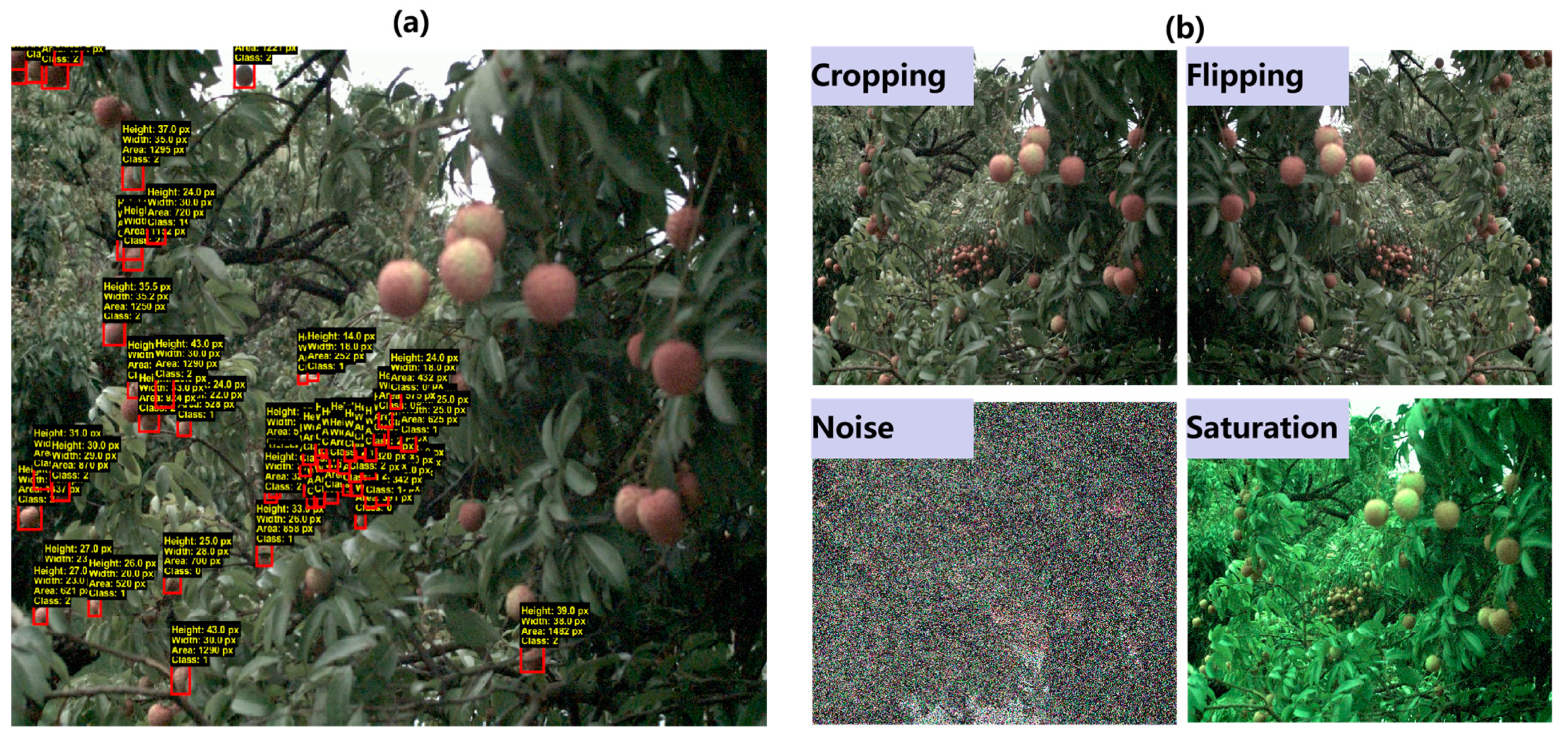 Plants 14 03378 g007 Plants 14 03378 g007