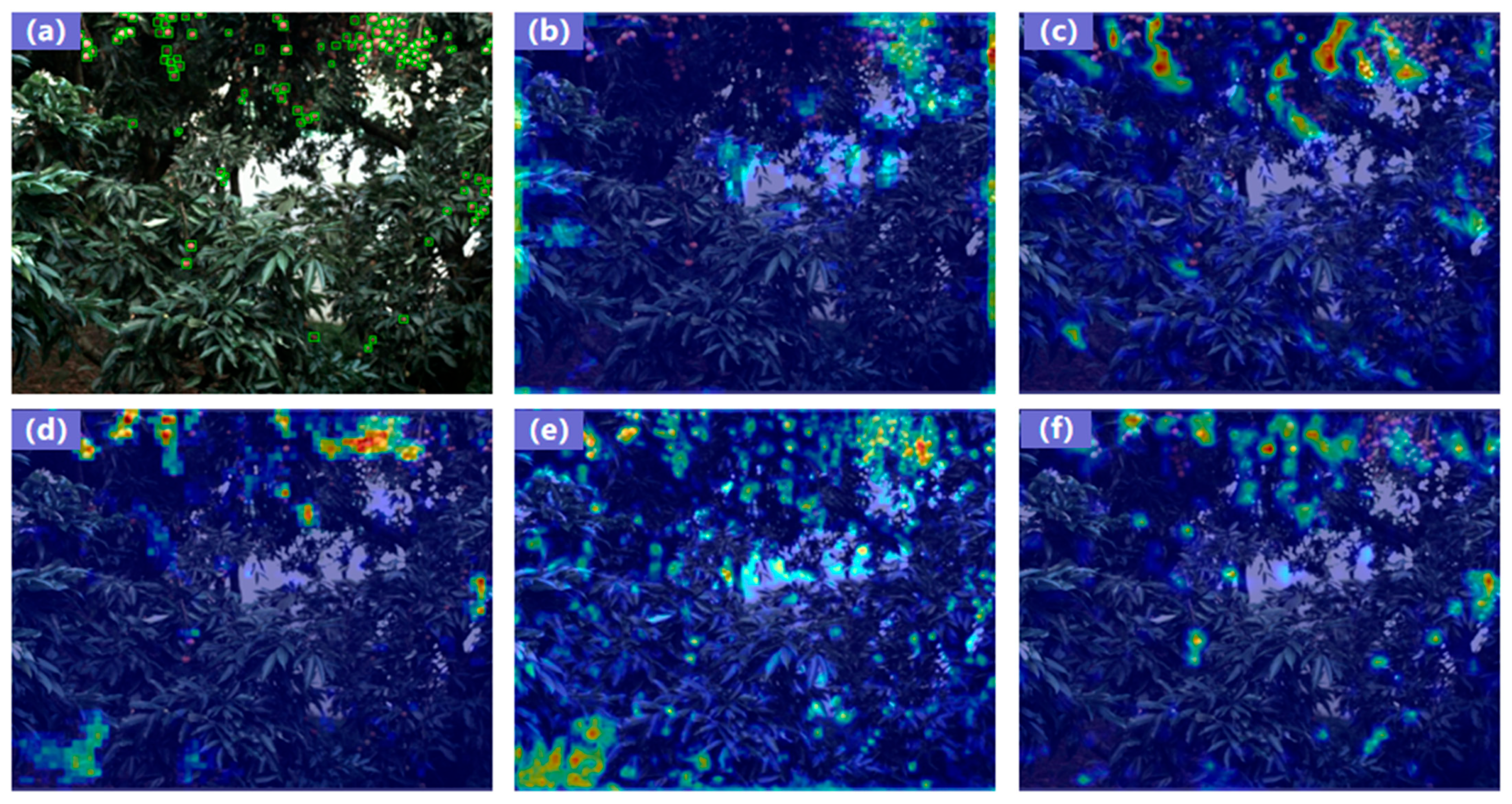 Plants 14 03378 g008 Plants 14 03378 g008