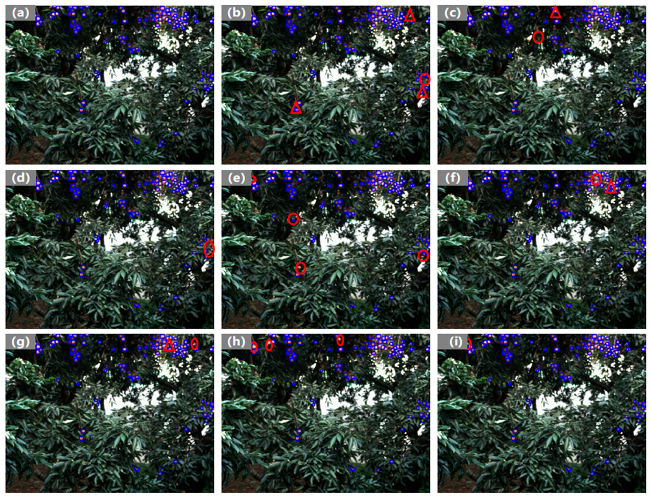 Plants 14 03378 g010 Plants 14 03378 g010