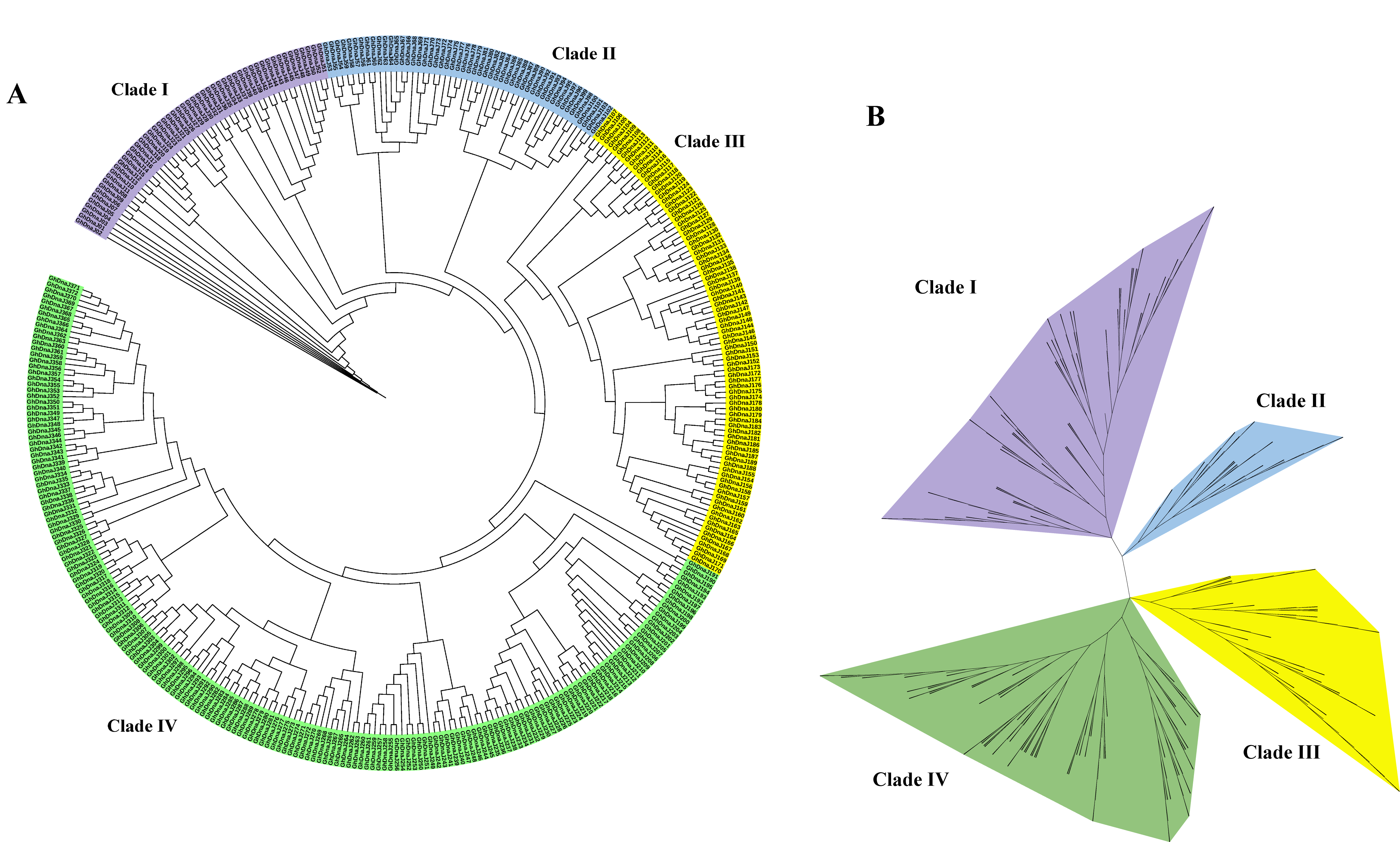 Plants 14 03380 g001