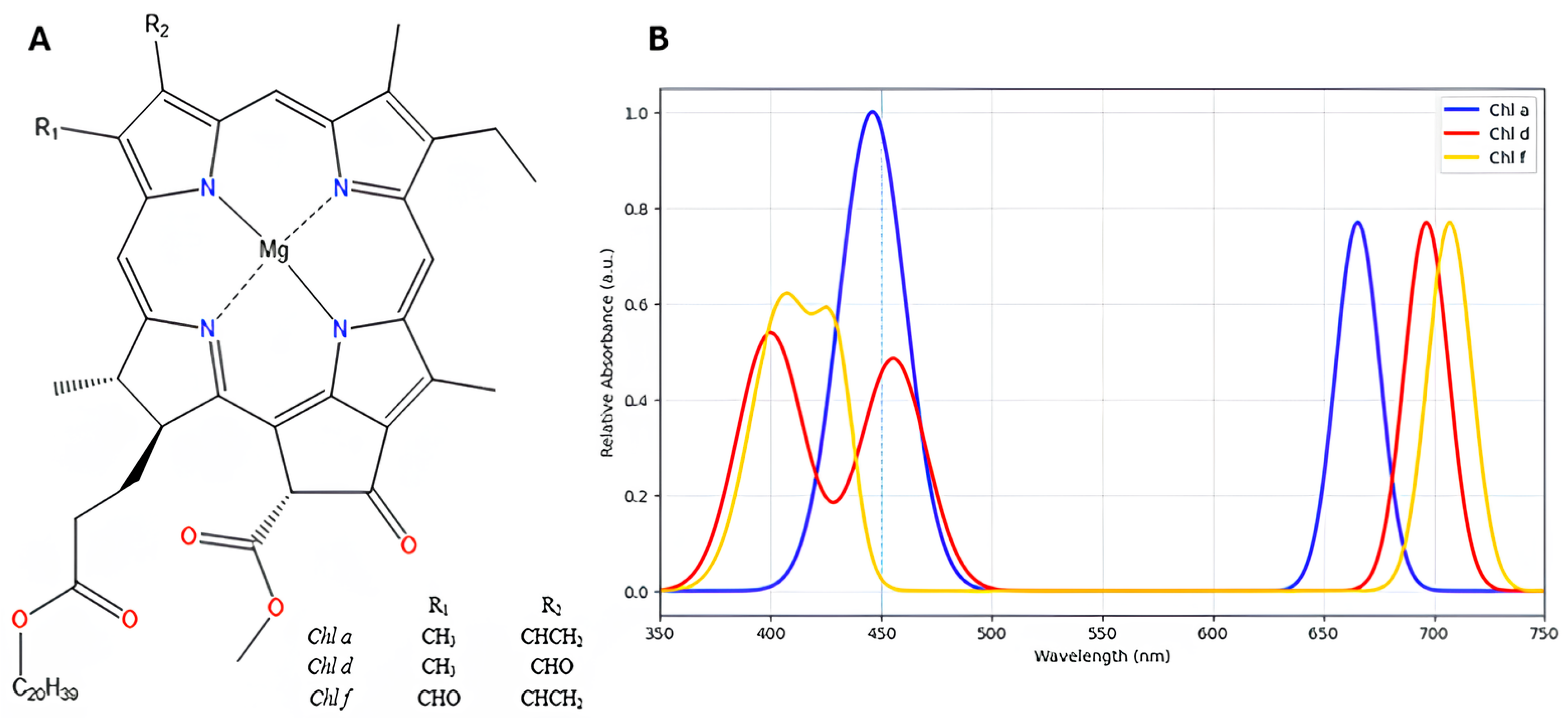 Plants 14 03384 g001