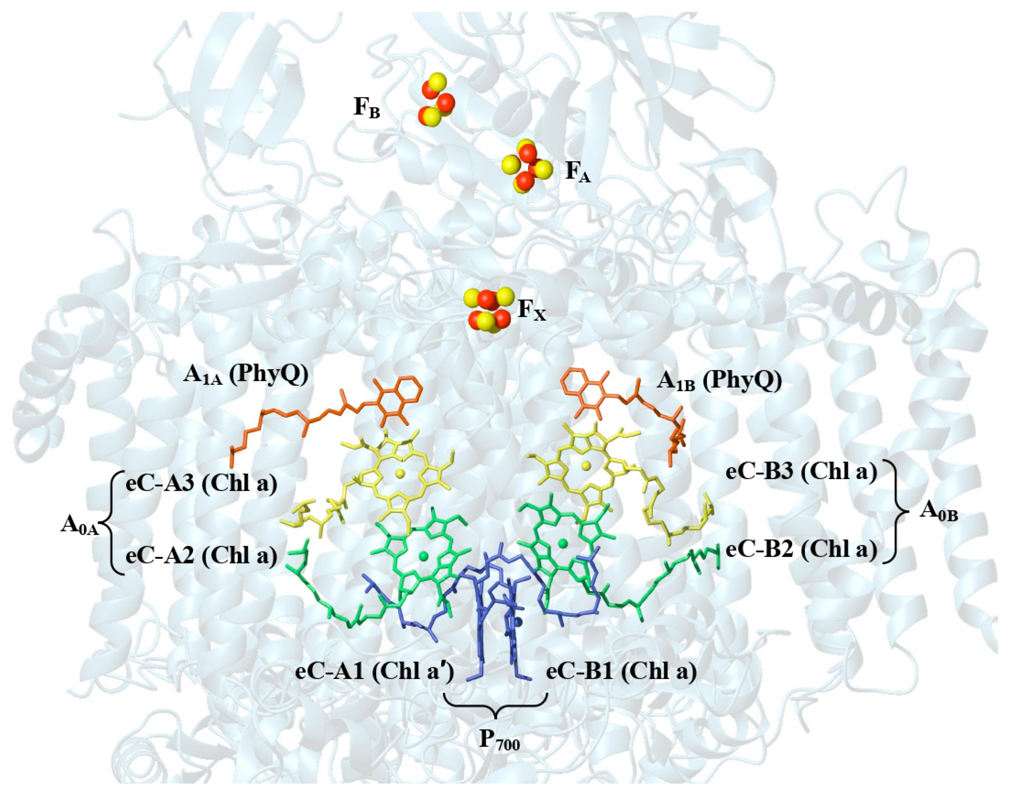 Plants 14 03384 g002