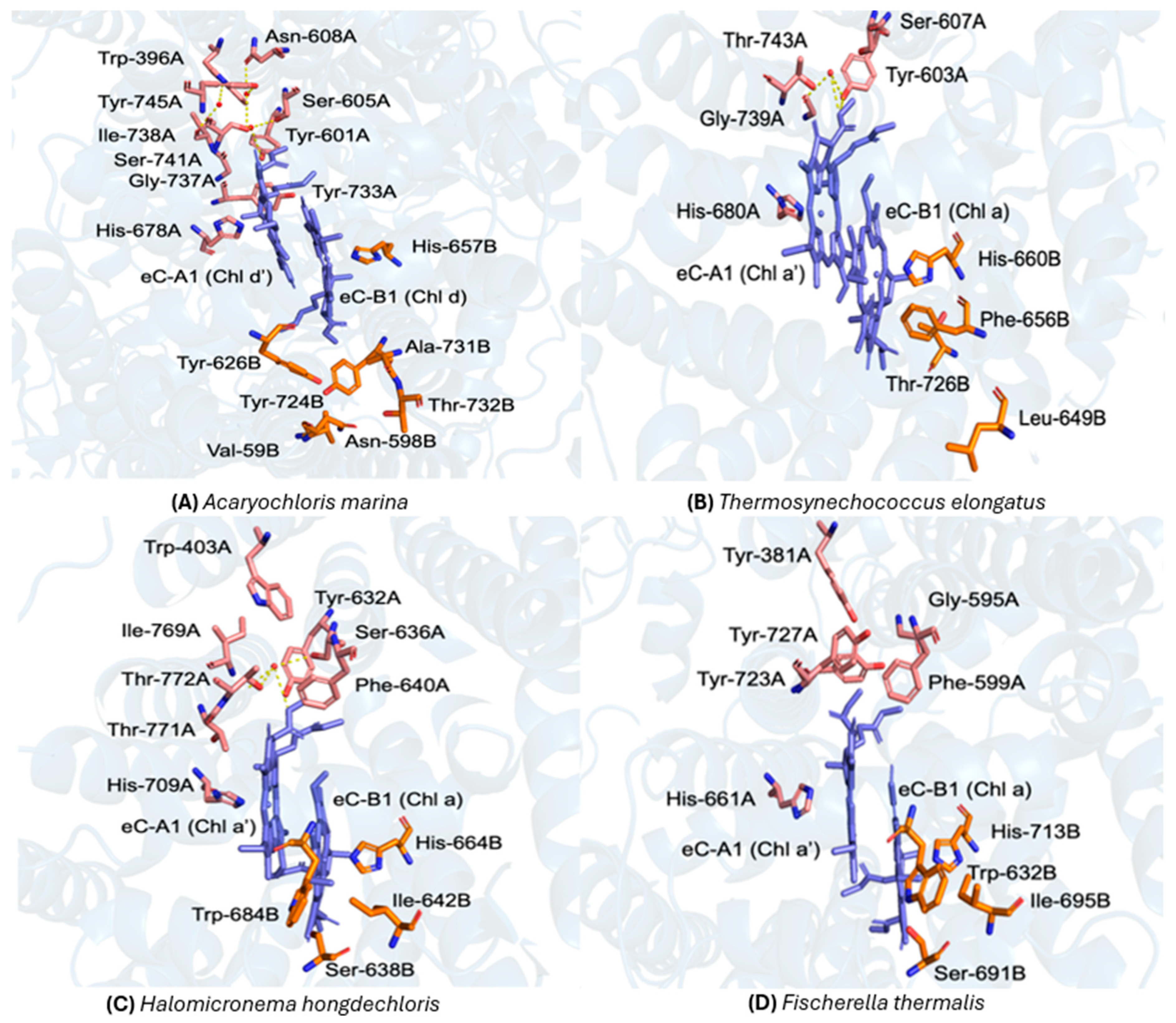 Plants 14 03384 g003