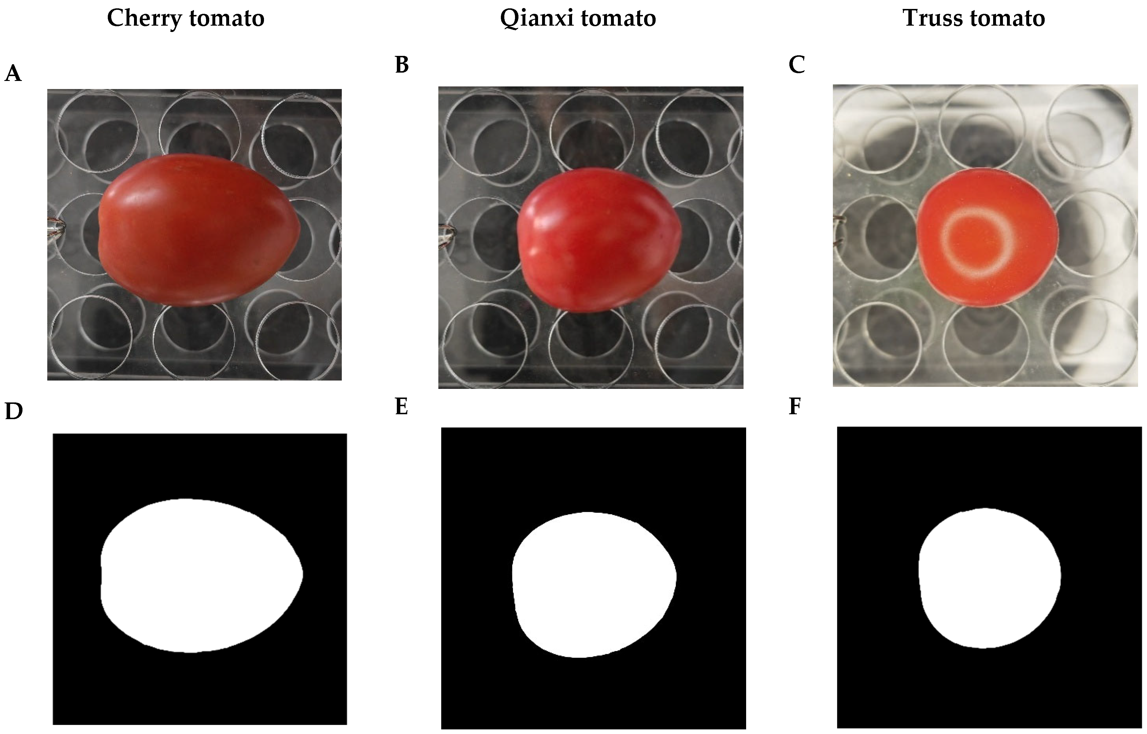 Plants 14 03398 g003a