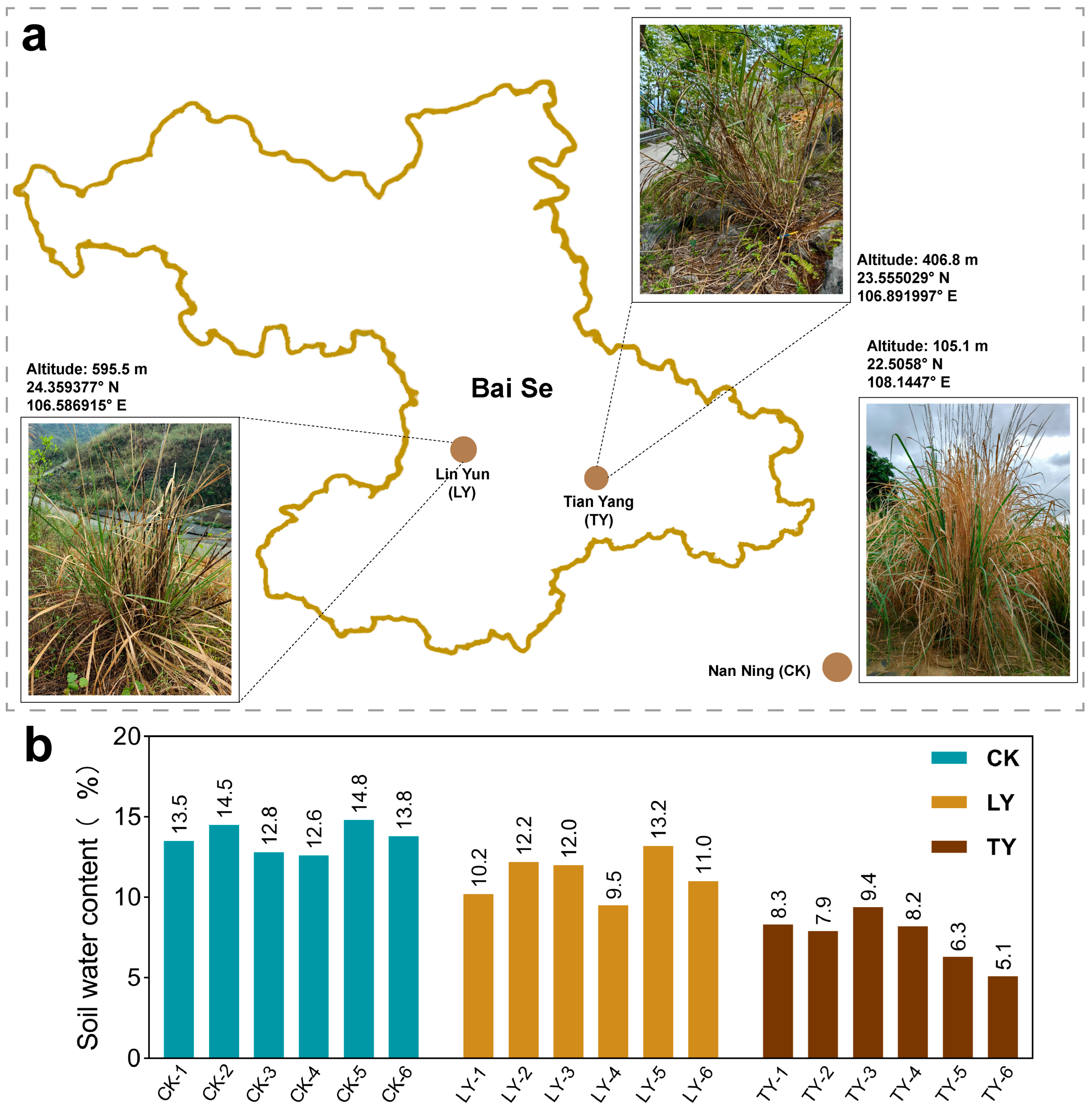 Plants 14 03407 g001