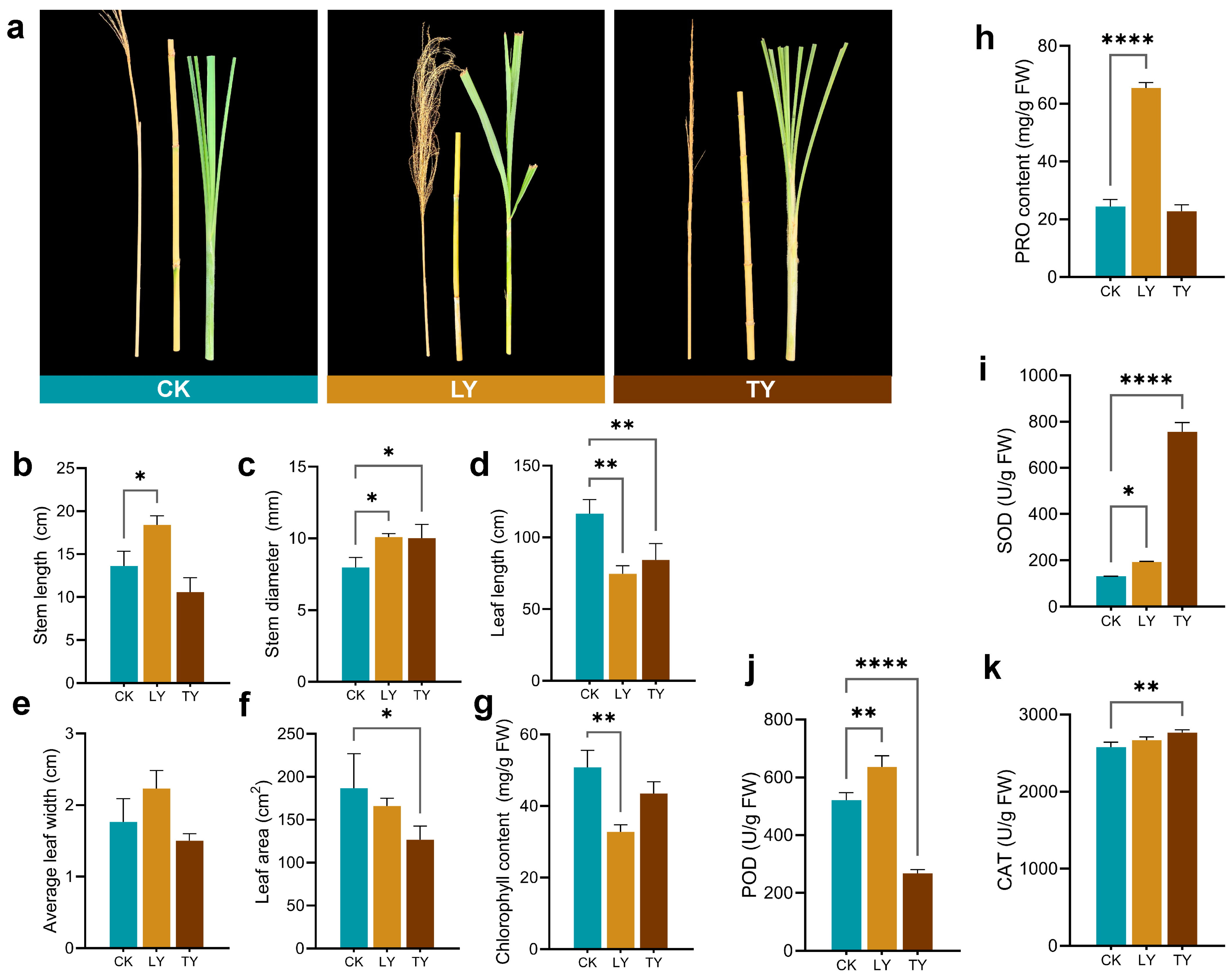 Plants 14 03407 g002