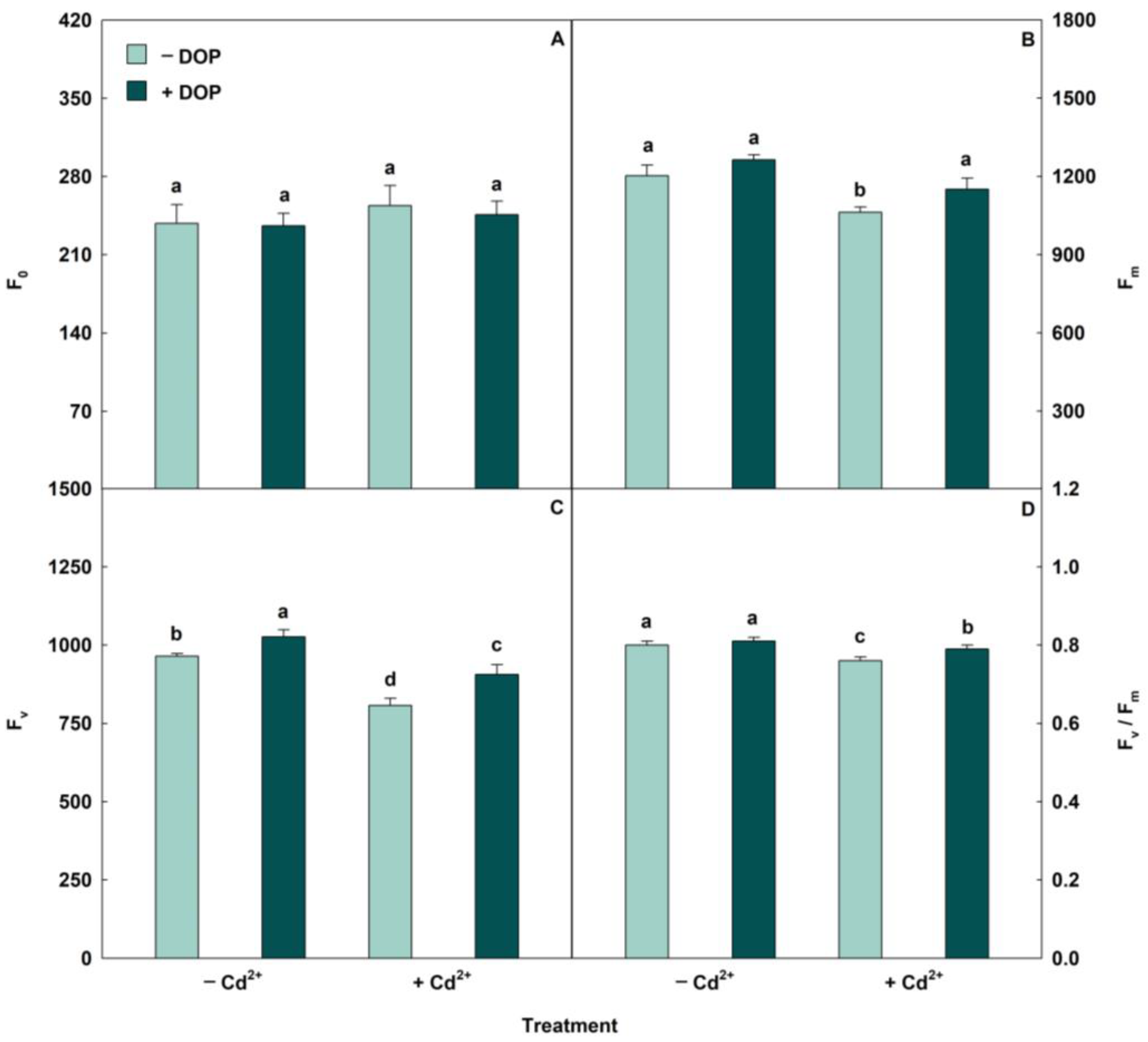 Plants 14 03411 g001 Plants 14 03411 g001