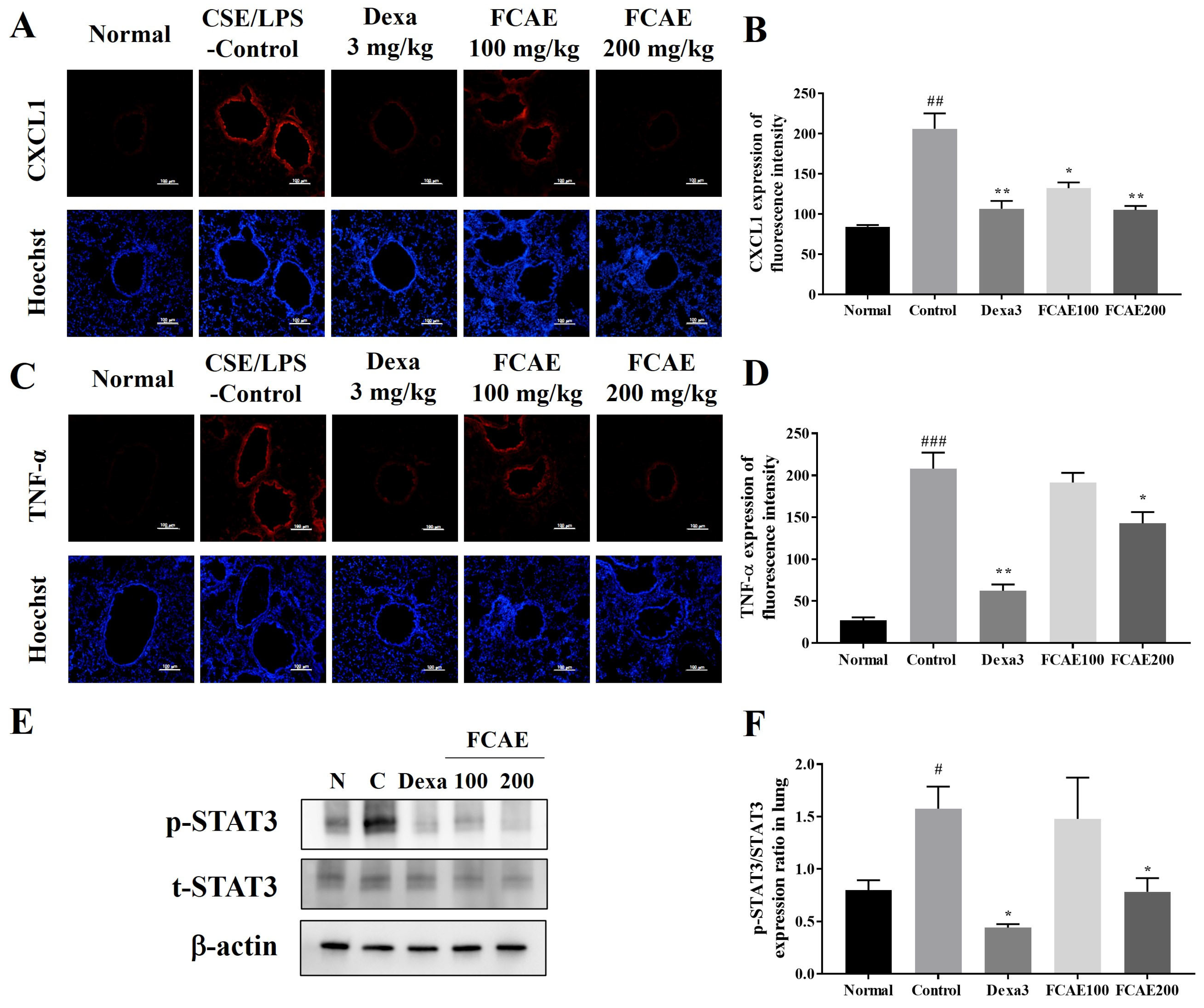 Plants 14 03416 g004 Plants 14 03416 g004
