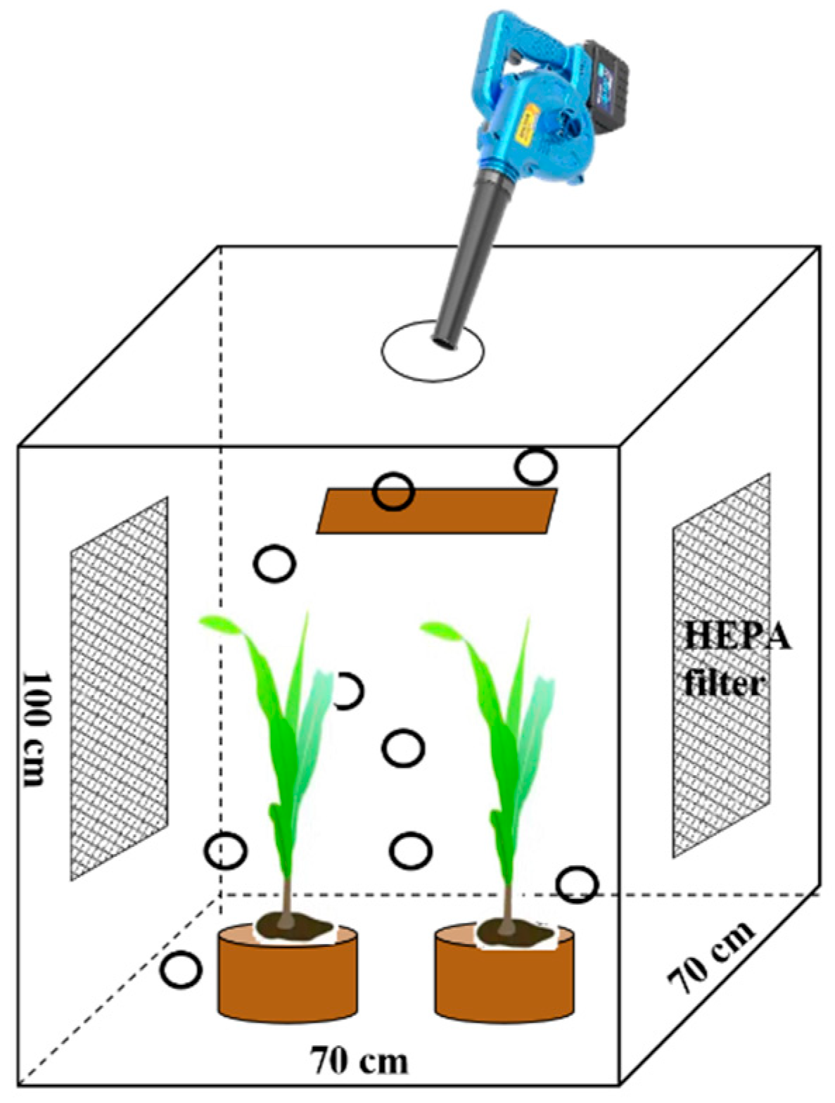 Plants 14 03418 g001
