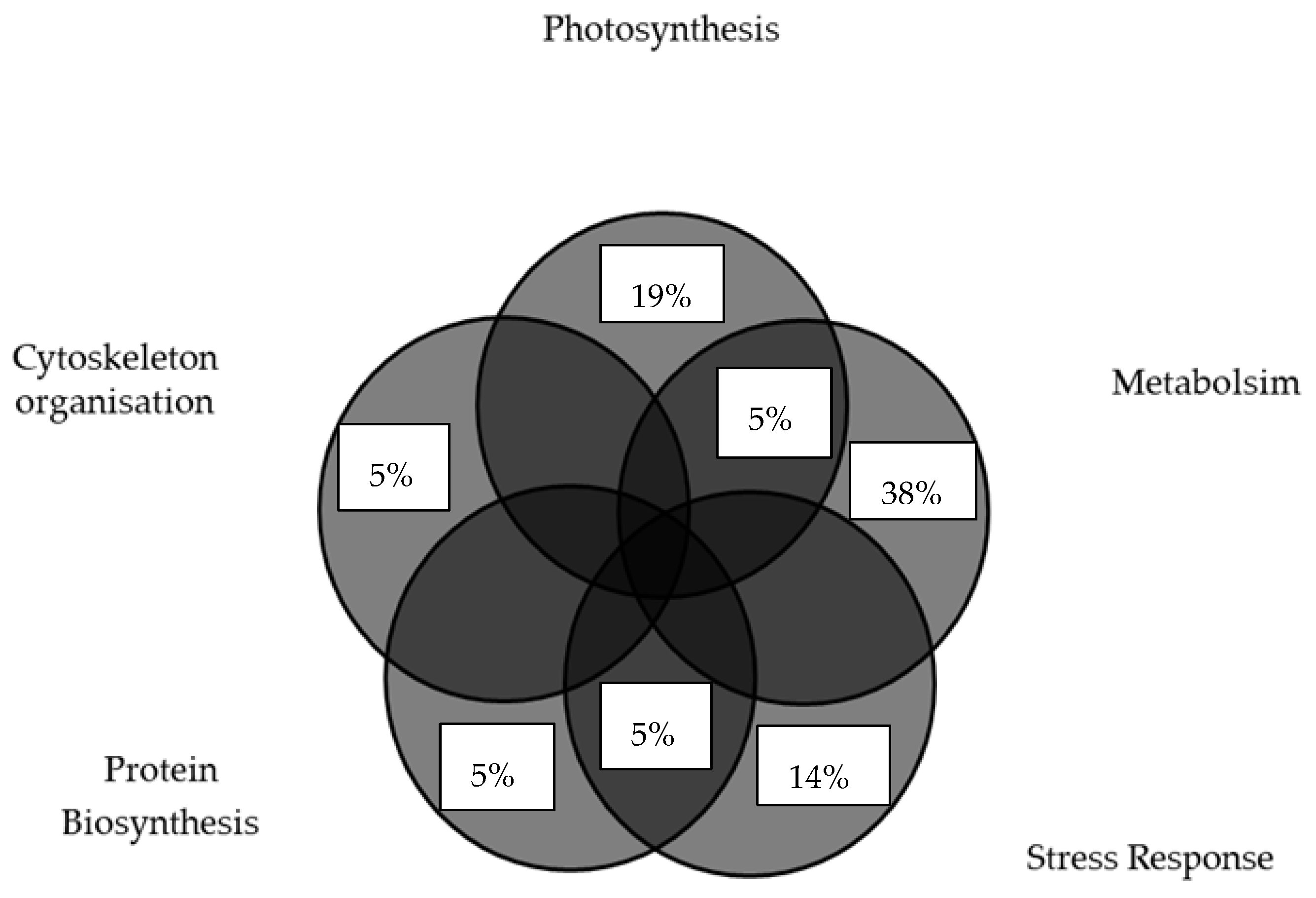 Plants 14 03419 g003