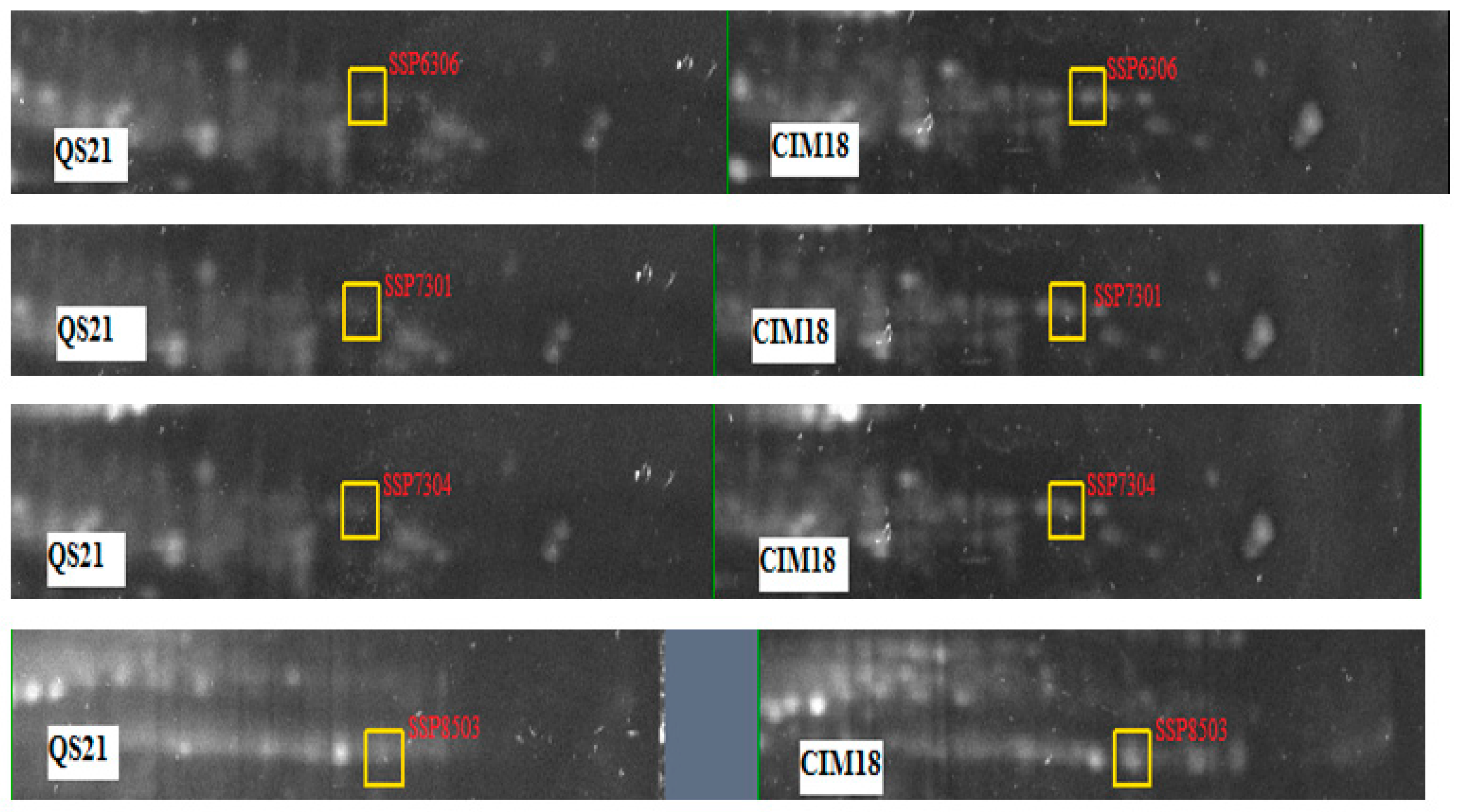 Plants 14 03419 g0a1