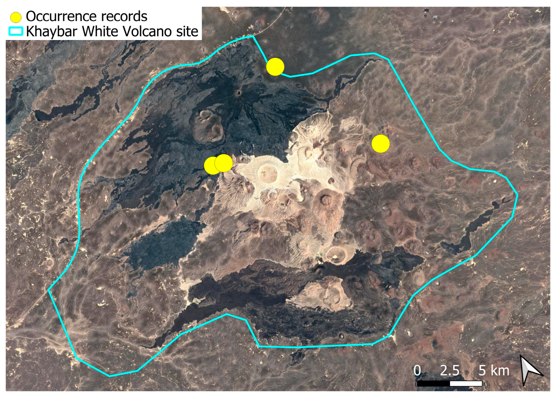 Plants 14 03423 g003