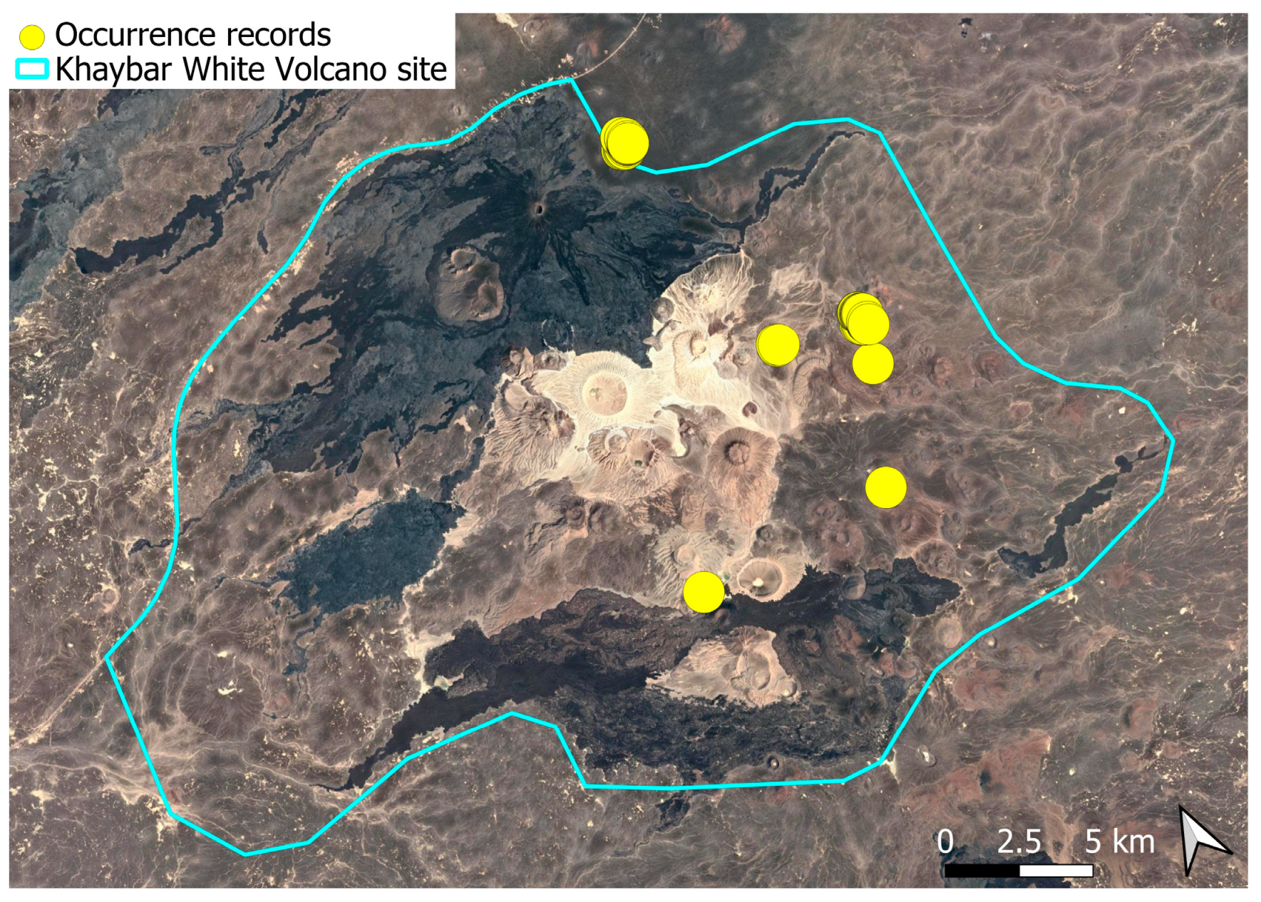 Plants 14 03423 g004