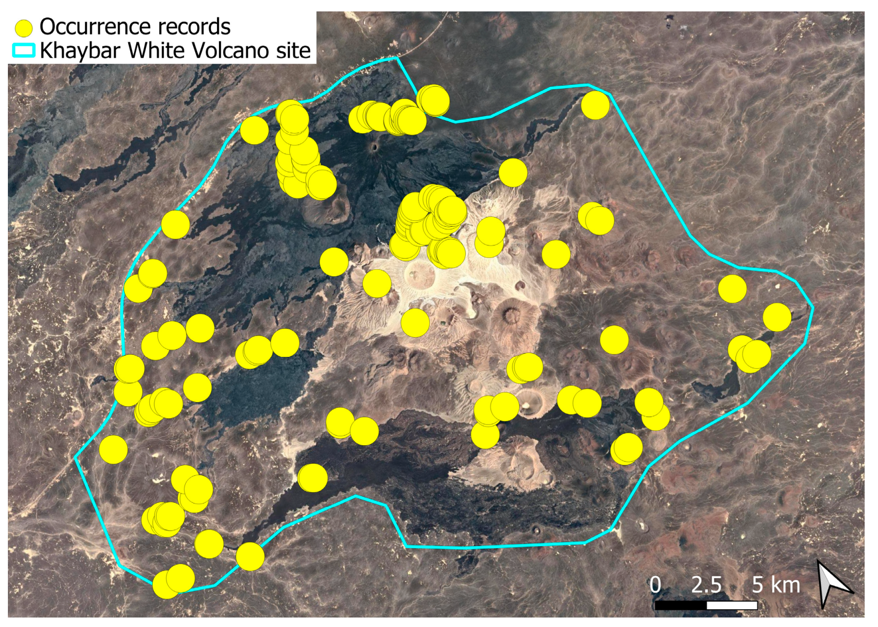 Plants 14 03423 g005