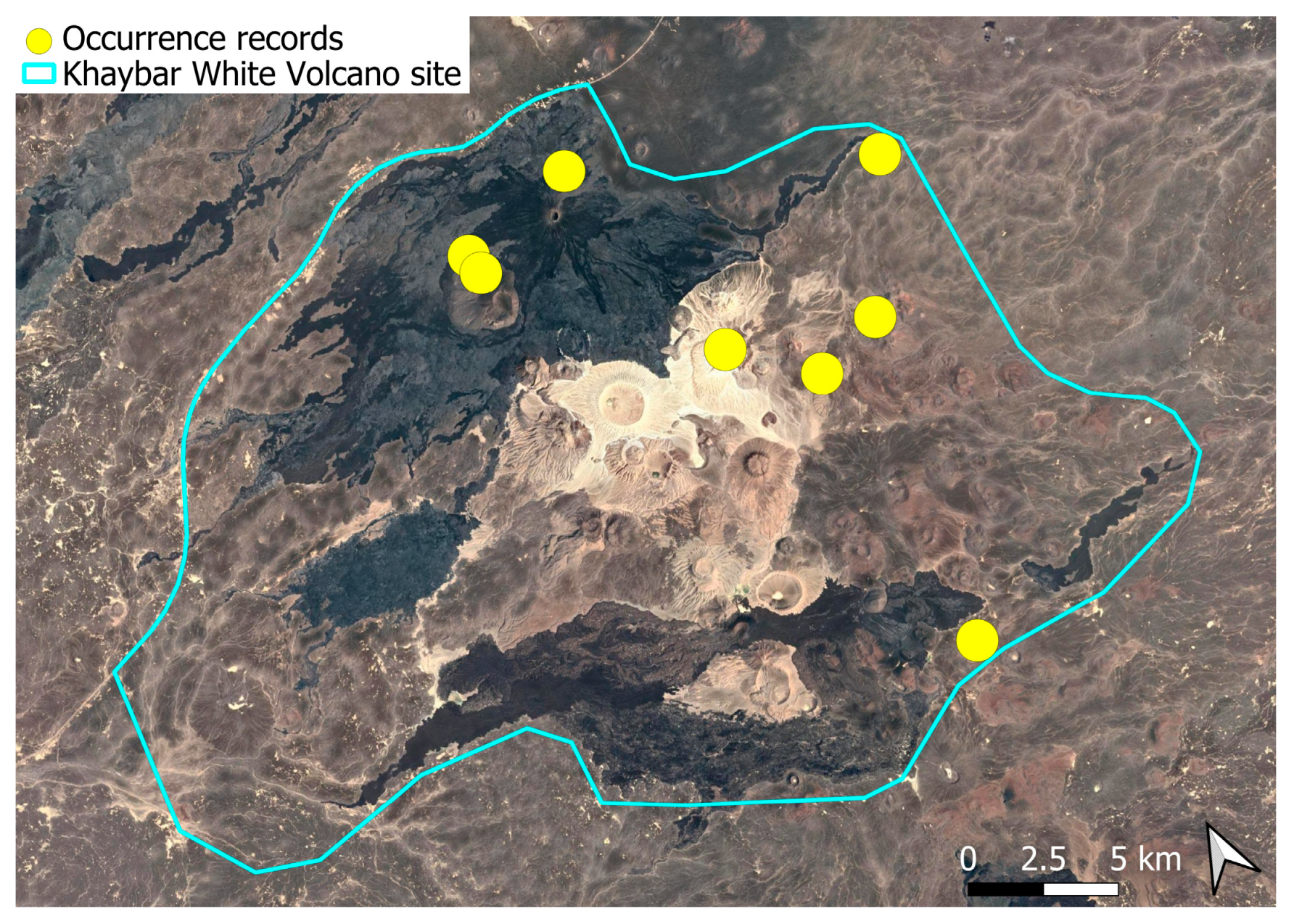 Plants 14 03423 g008