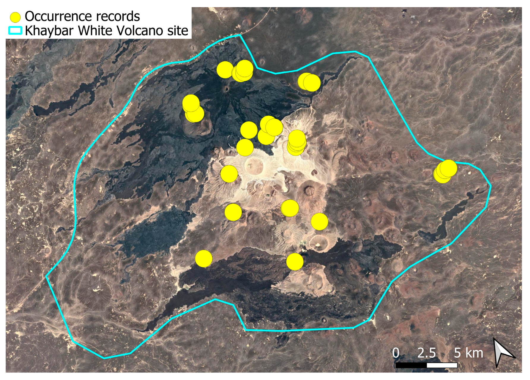 Plants 14 03423 g009