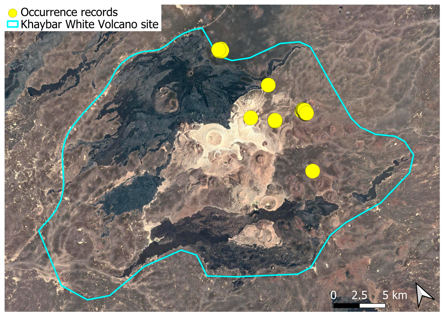 Plants 14 03423 g010