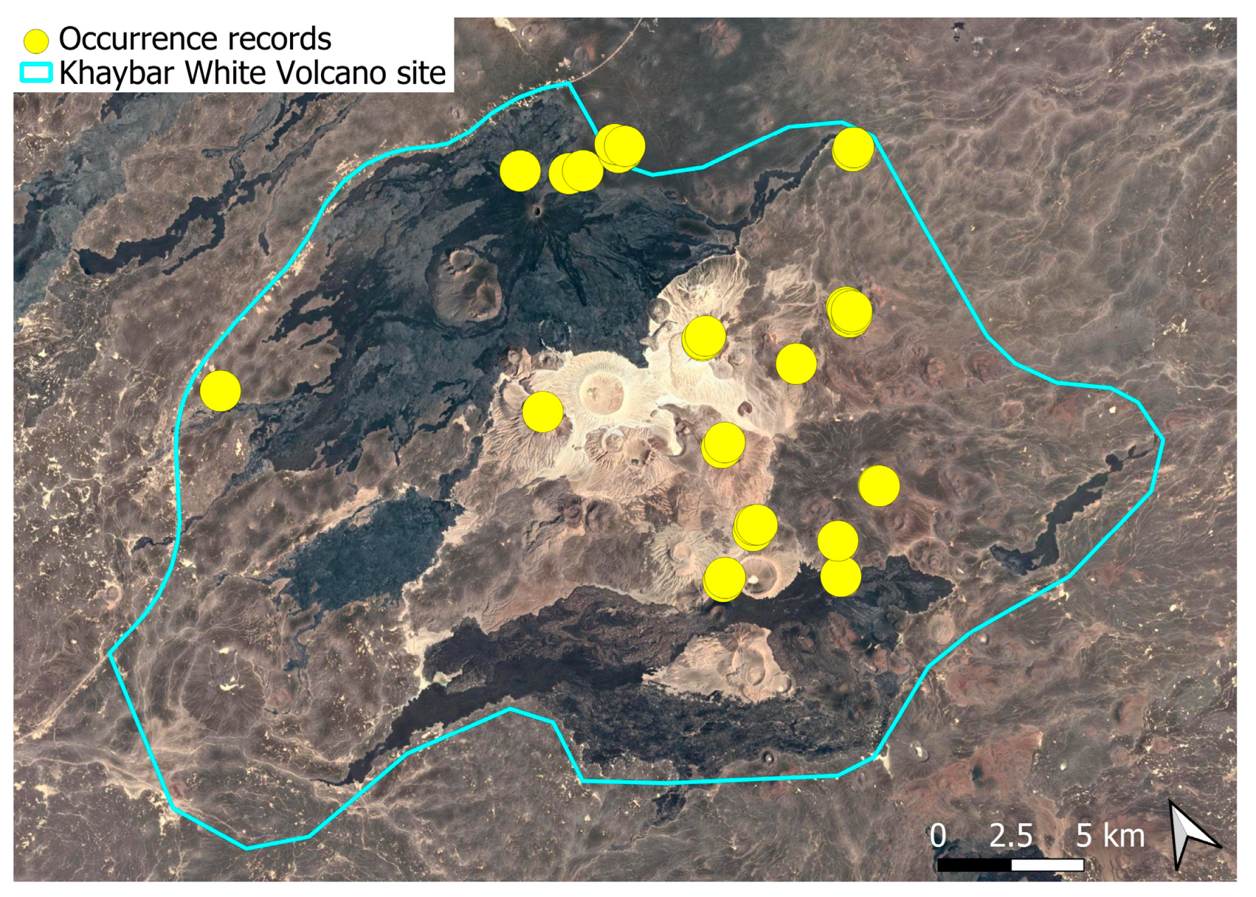 Plants 14 03423 g011