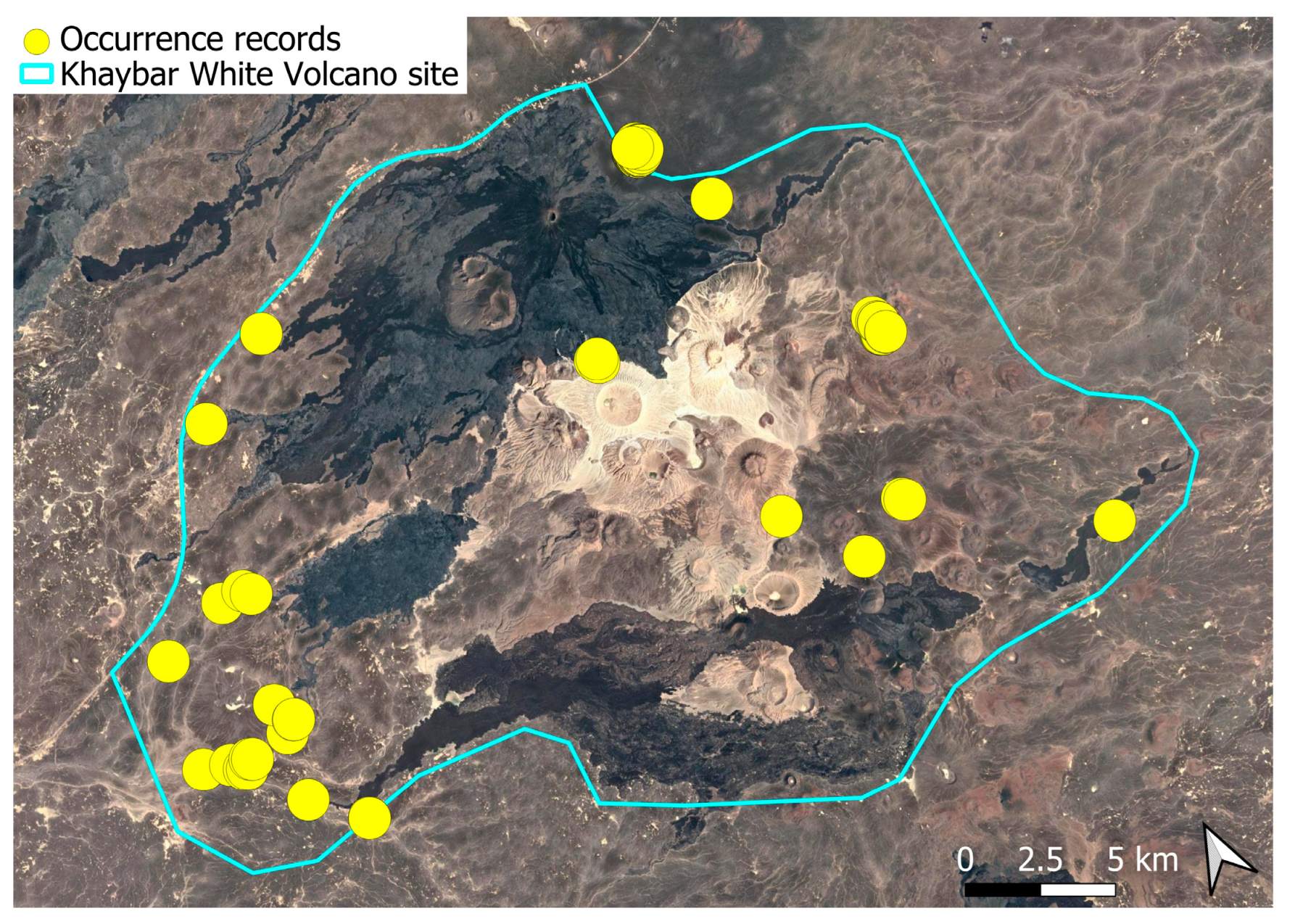 Plants 14 03423 g012