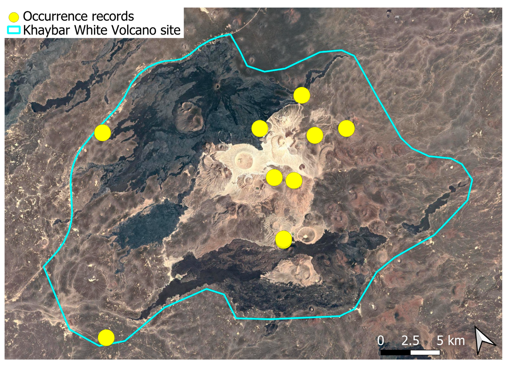 Plants 14 03423 g013