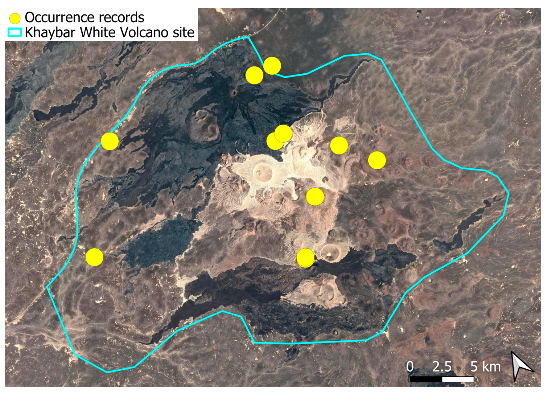 Plants 14 03423 g014