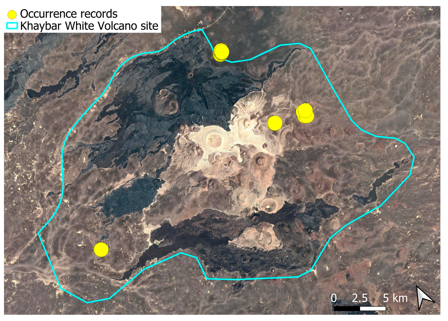 Plants 14 03423 g015