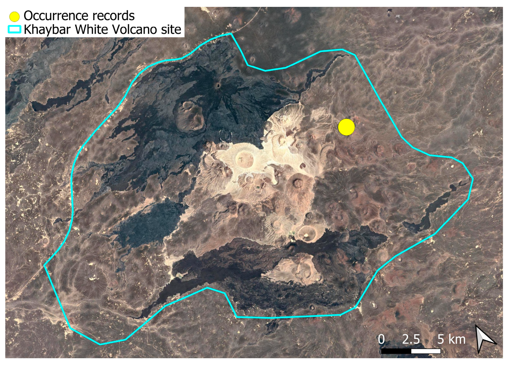 Plants 14 03423 g016