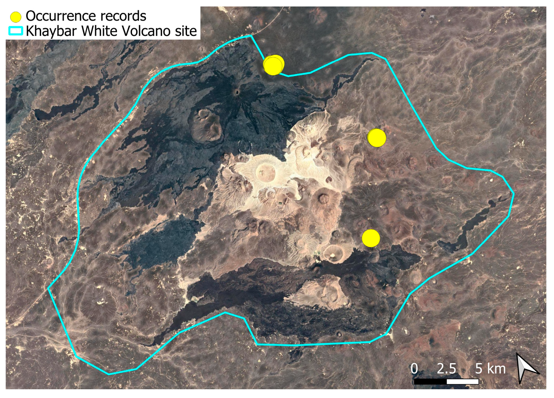 Plants 14 03423 g017