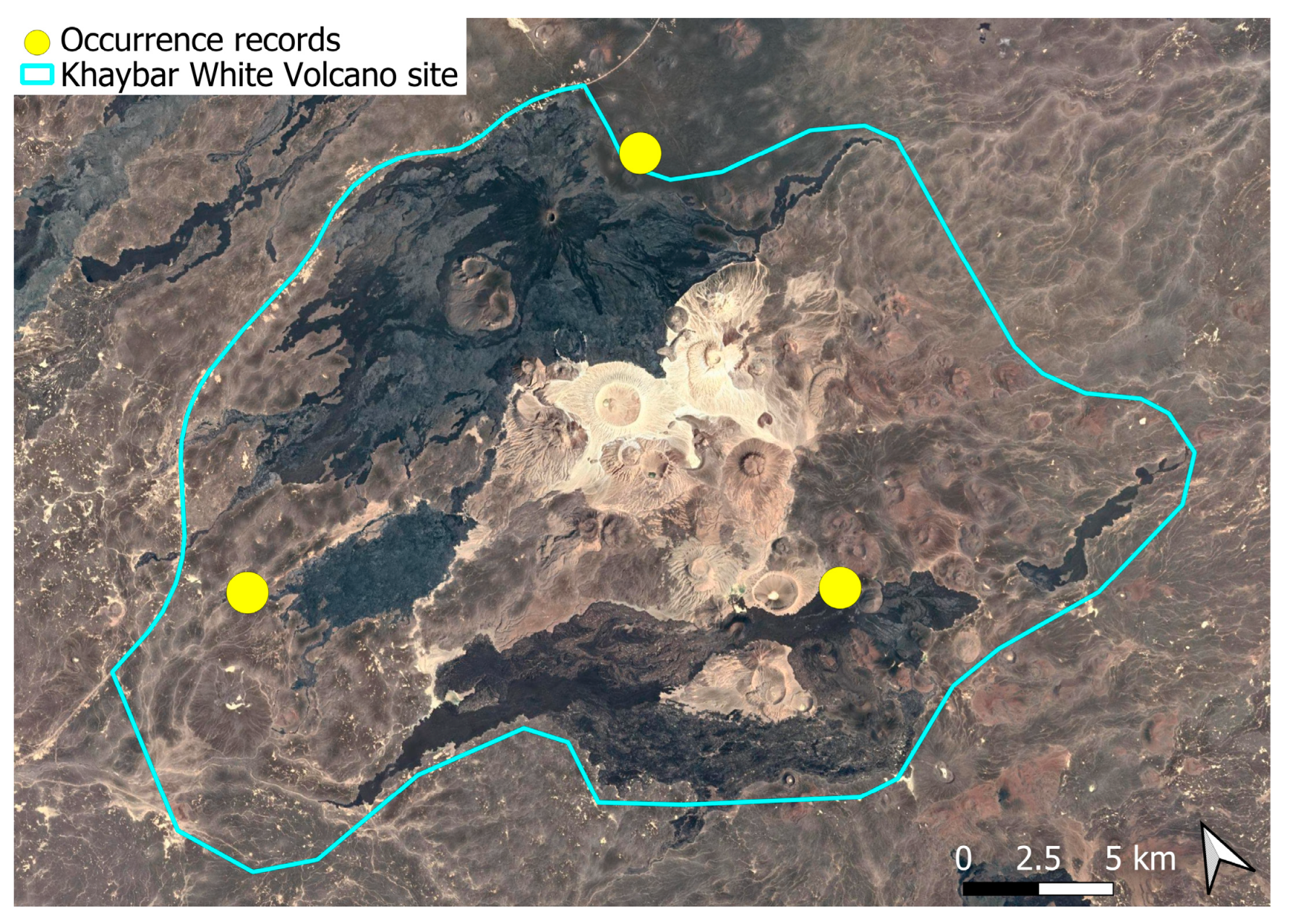 Plants 14 03423 g018