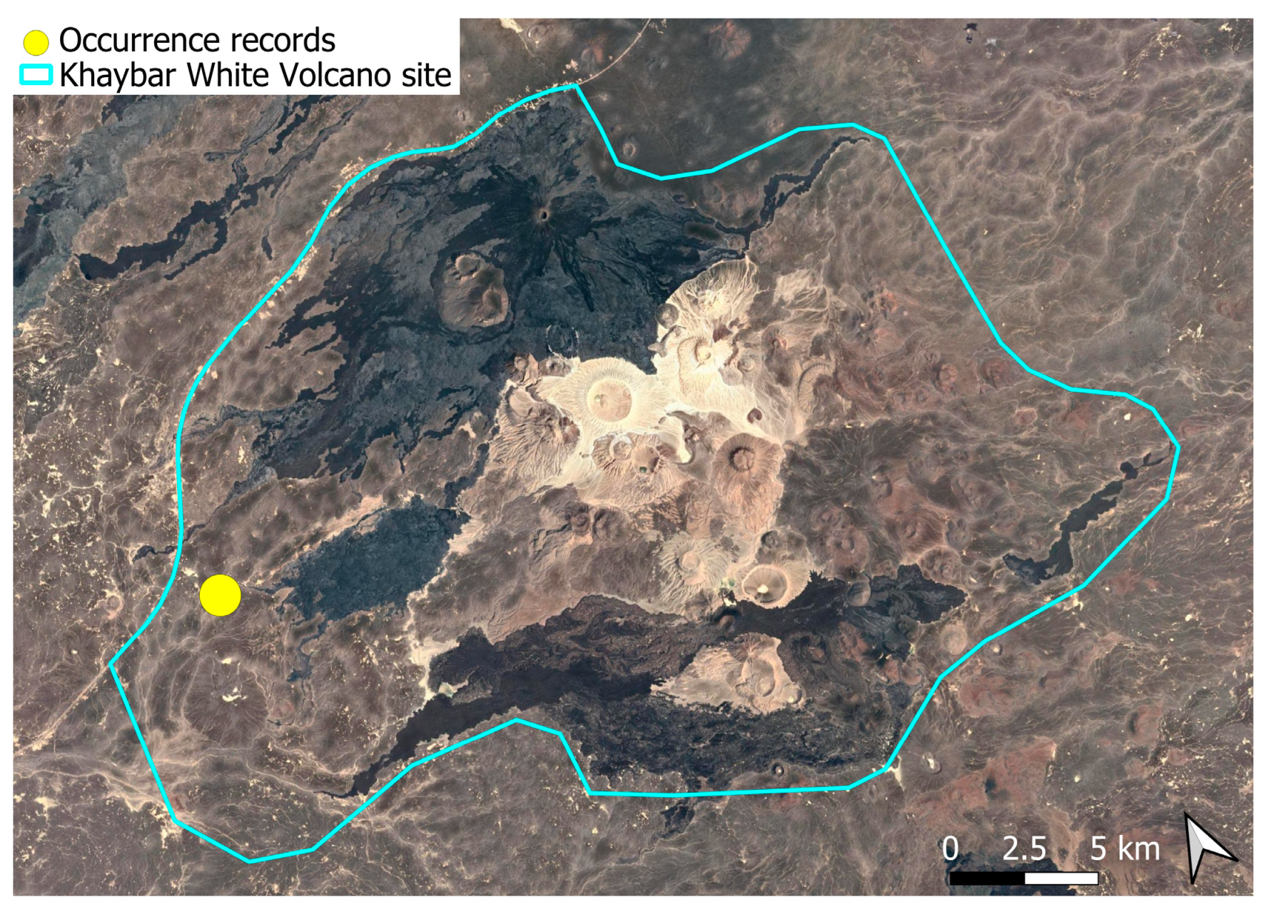 Plants 14 03423 g019