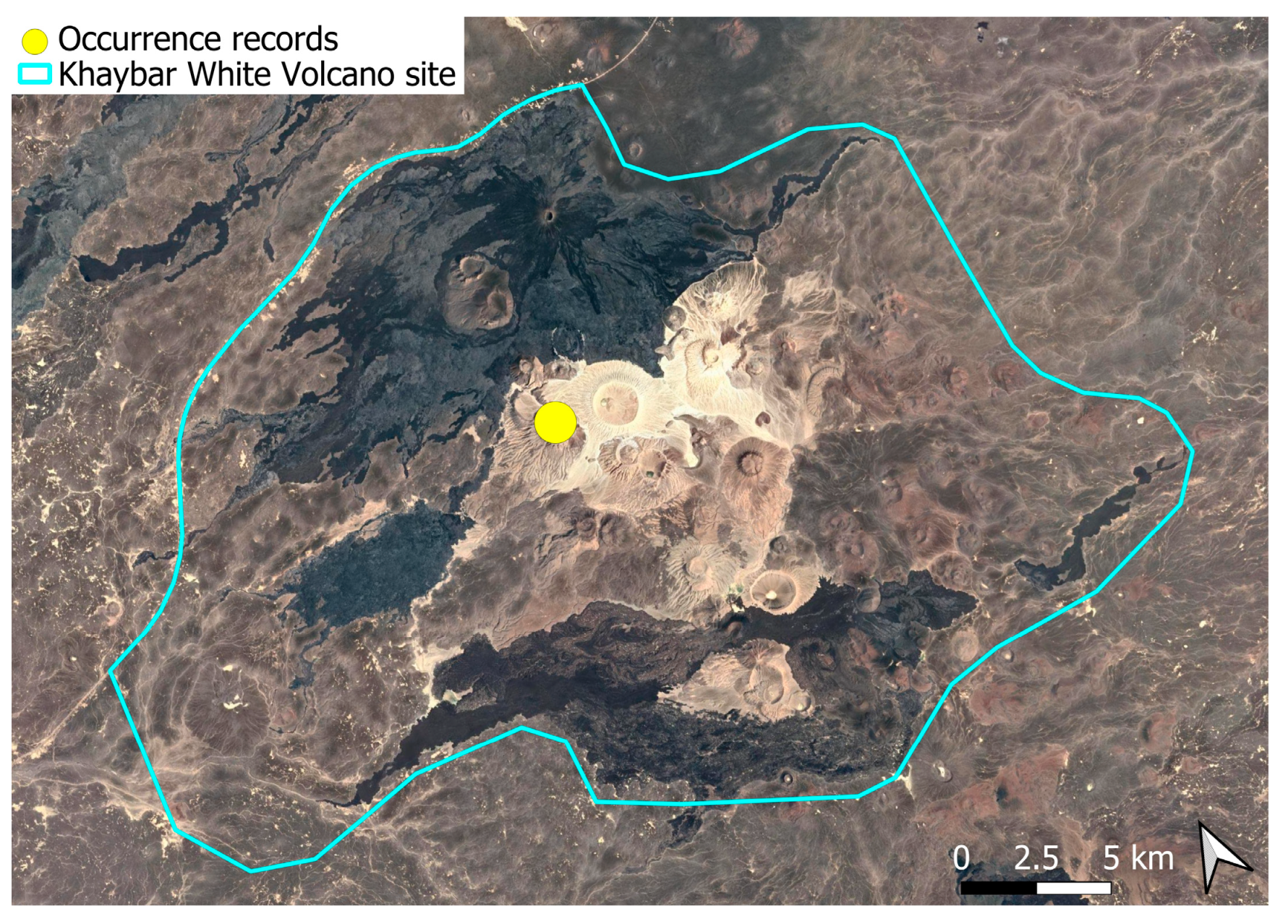 Plants 14 03423 g020