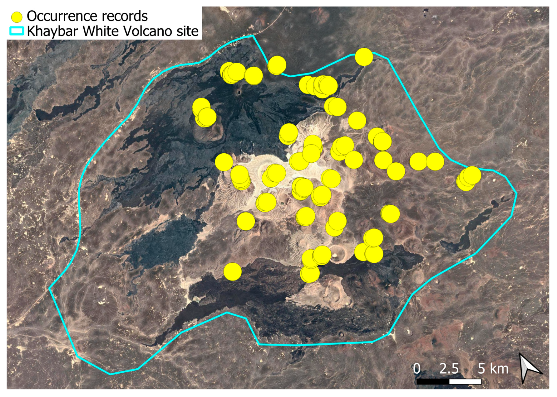 Plants 14 03423 g021