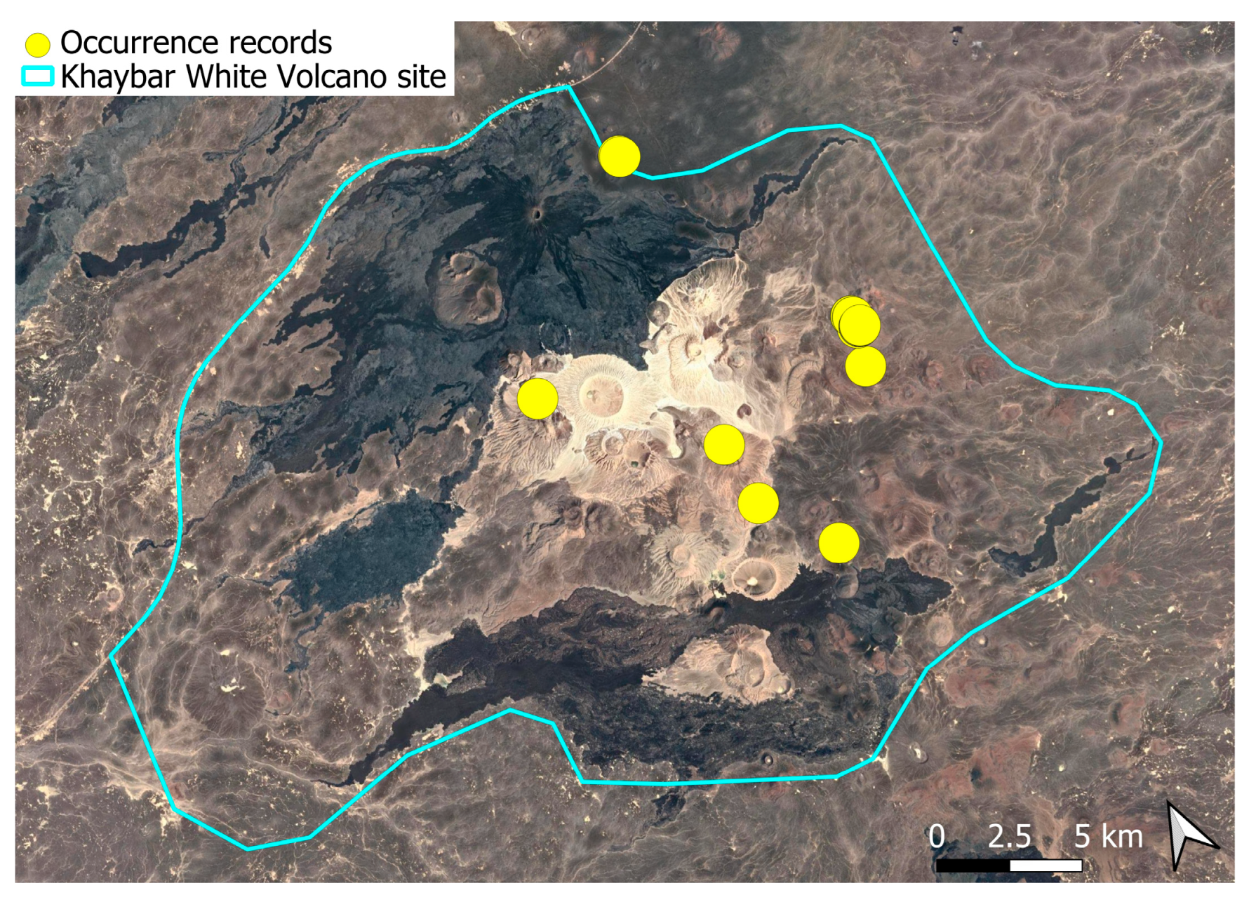 Plants 14 03423 g022