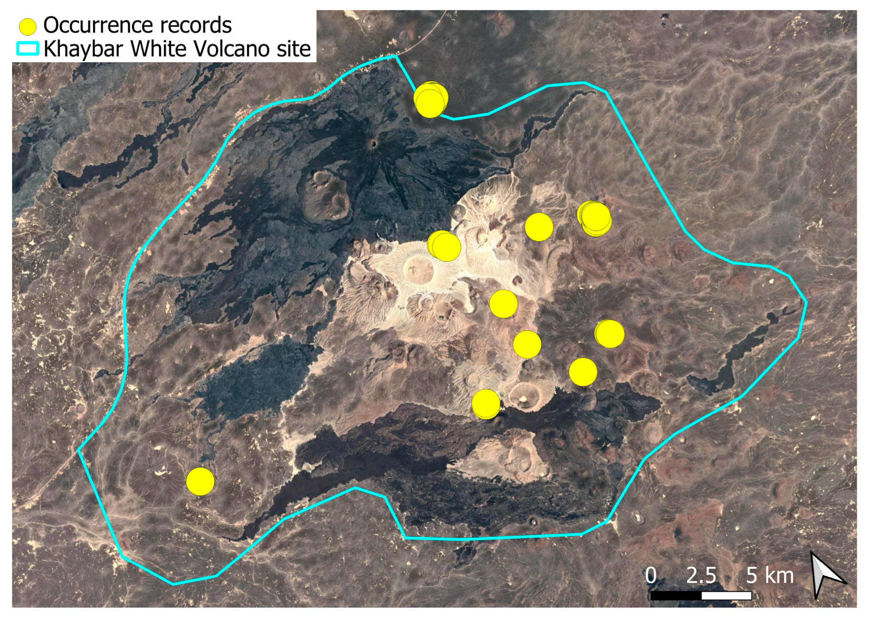 Plants 14 03423 g023