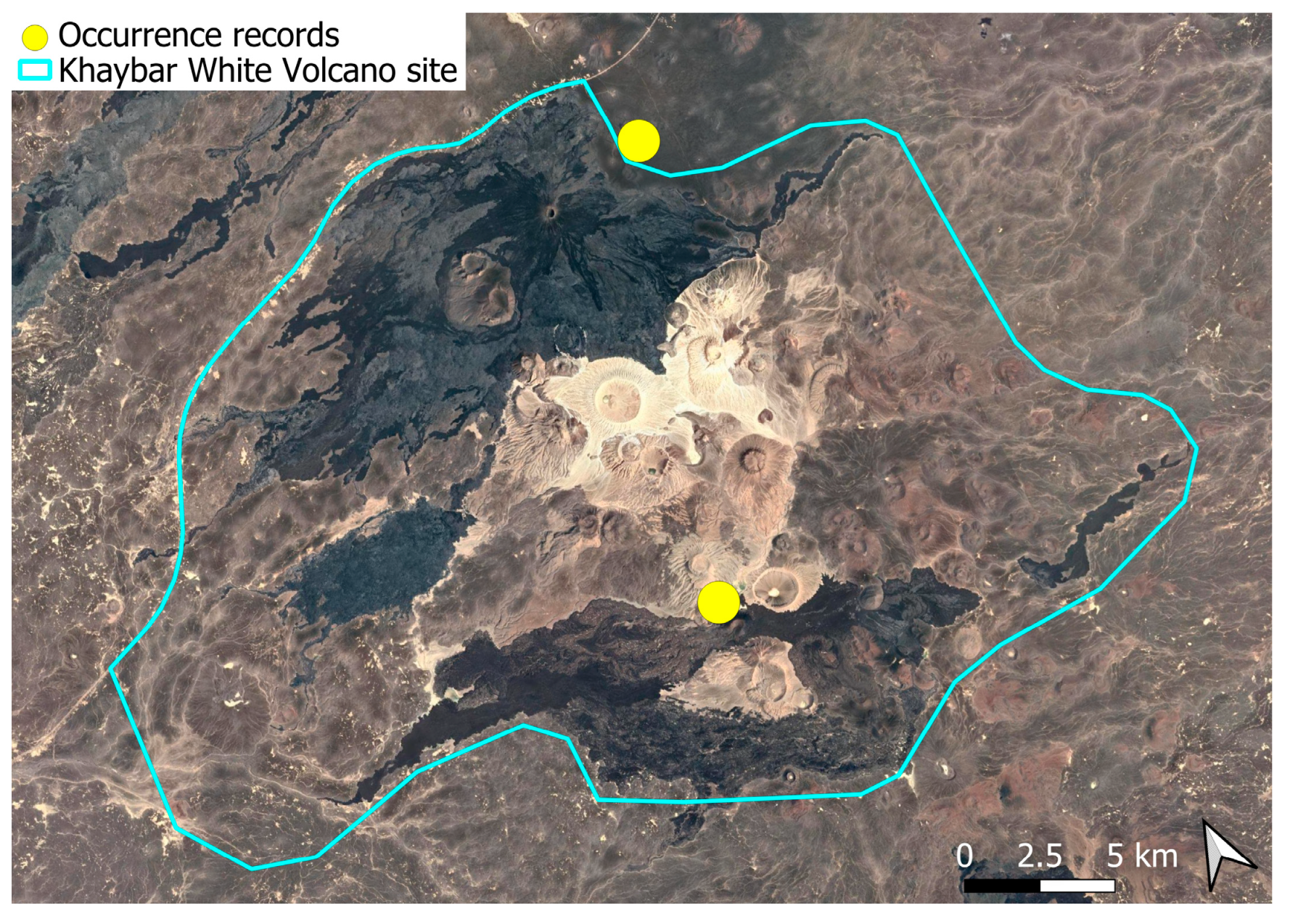 Plants 14 03423 g025