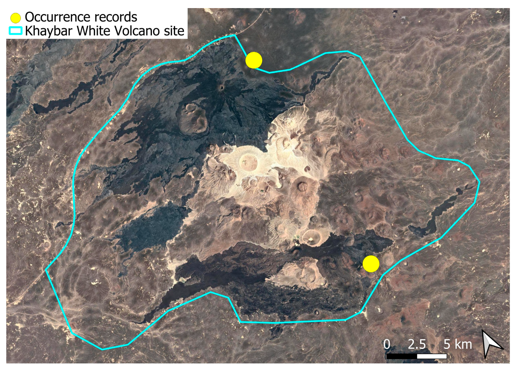 Plants 14 03423 g026