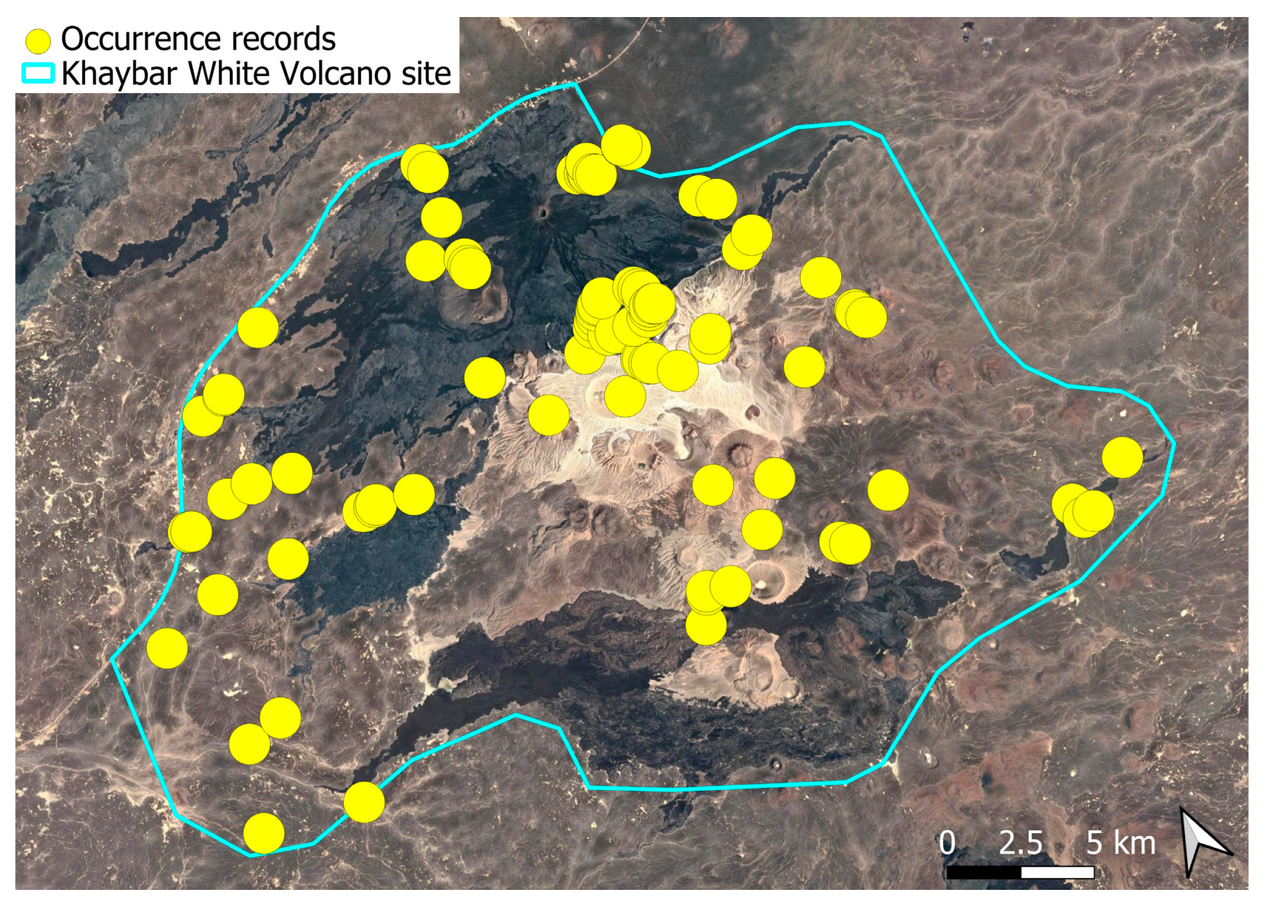 Plants 14 03423 g027