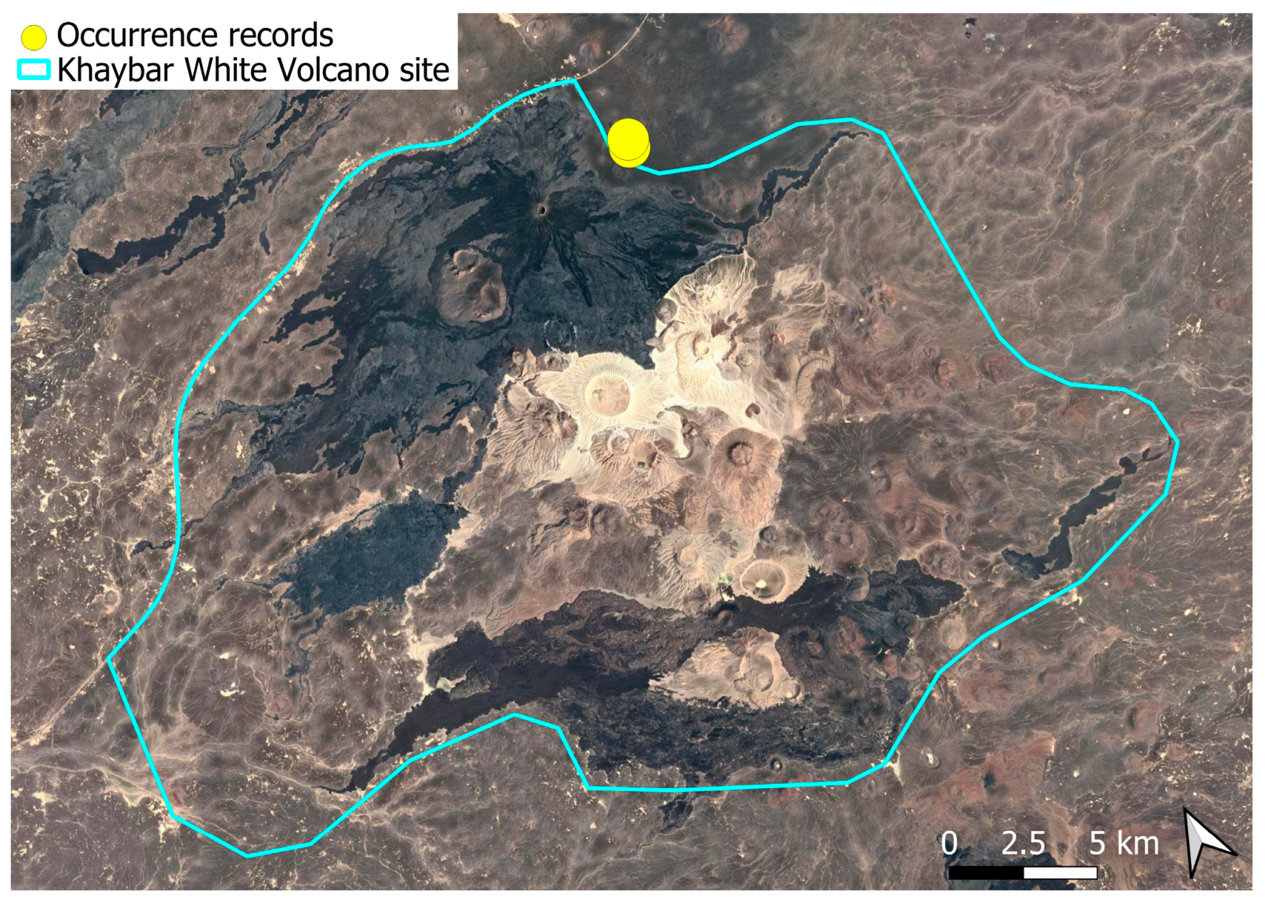 Plants 14 03423 g028