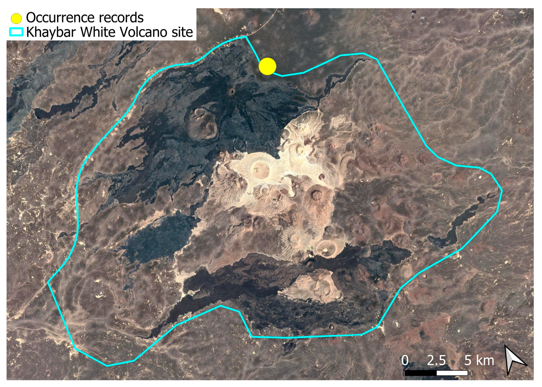 Plants 14 03423 g029